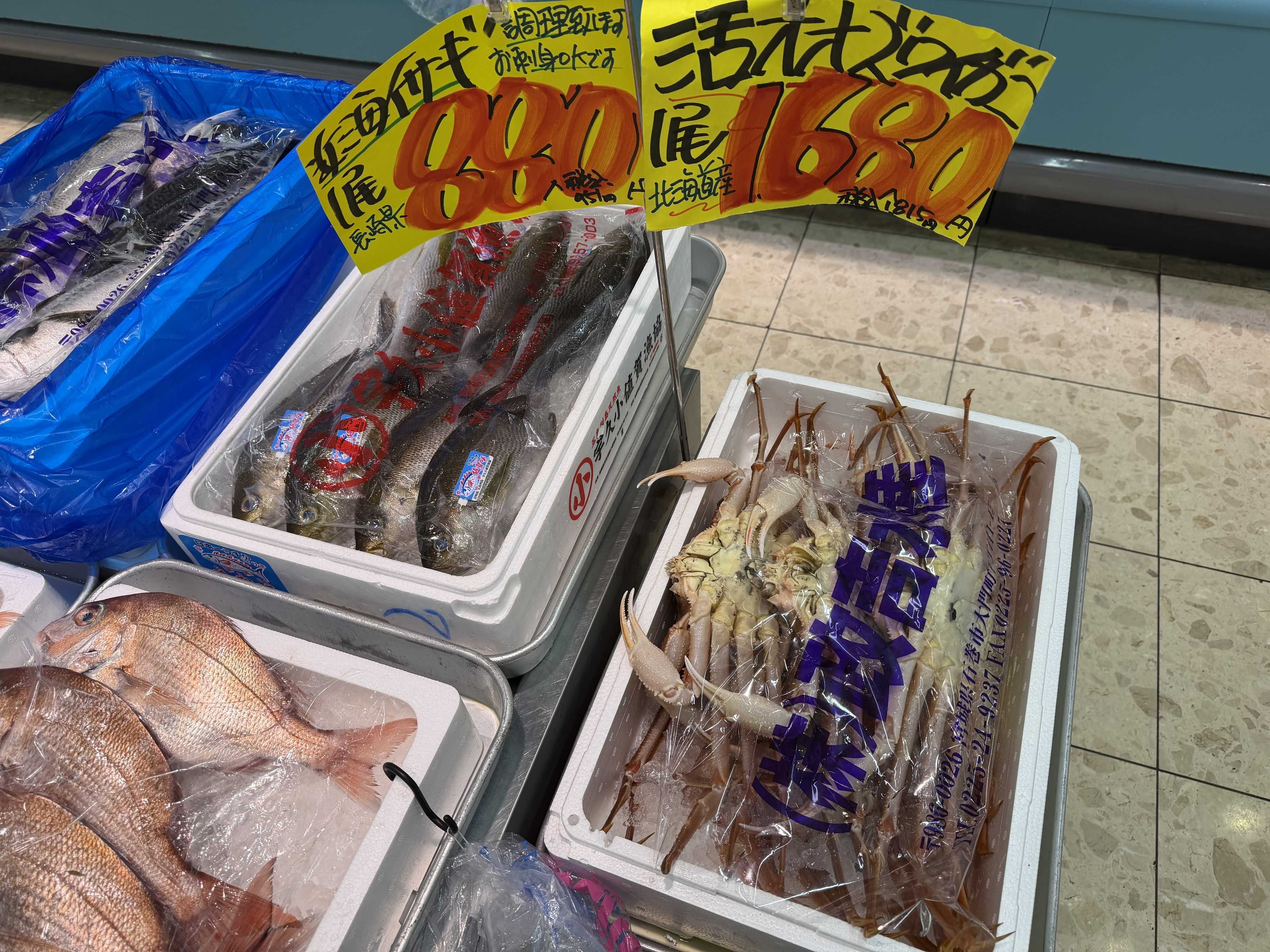 たこ一 