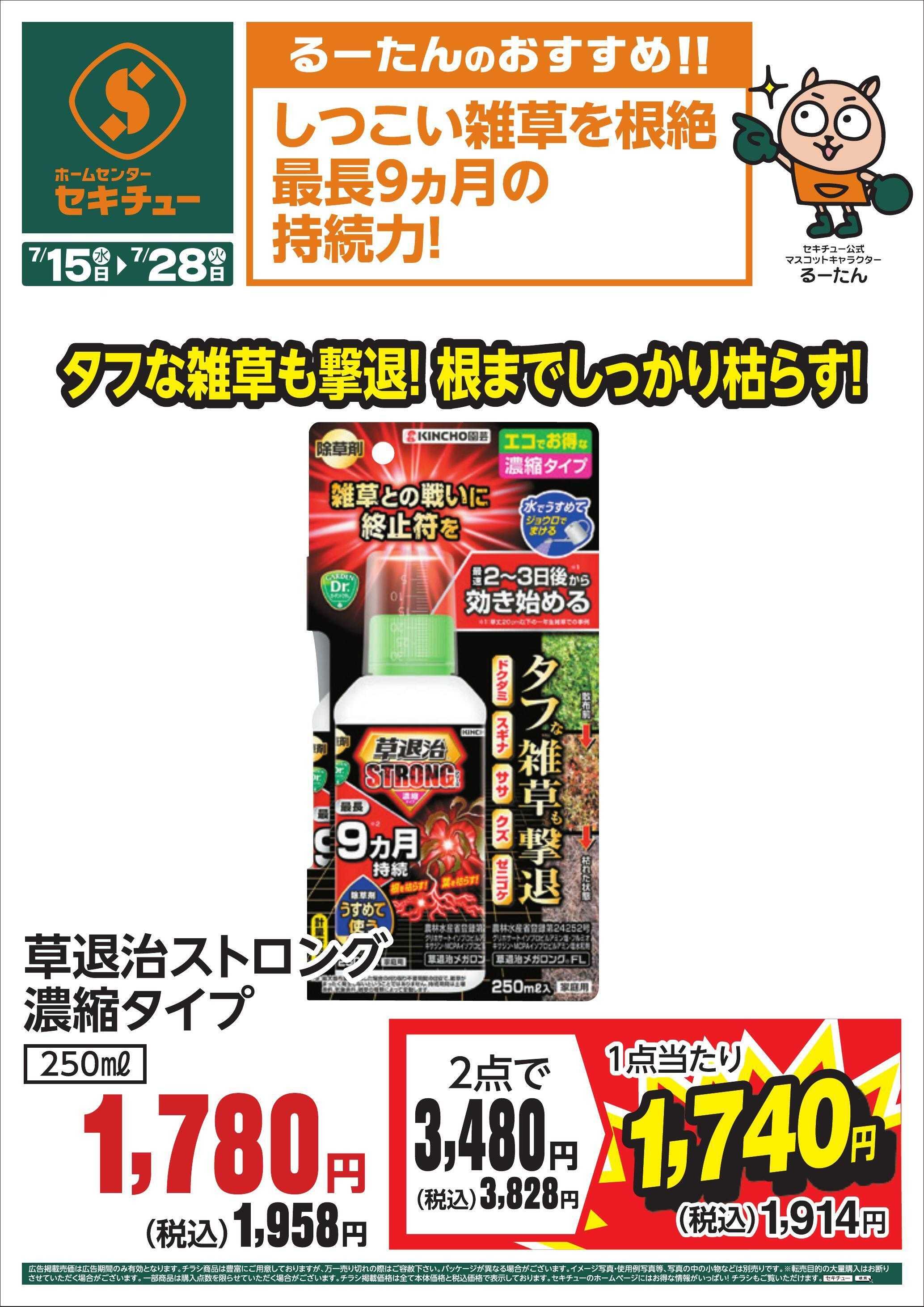 セキチュー るーたんのおすすめ！！