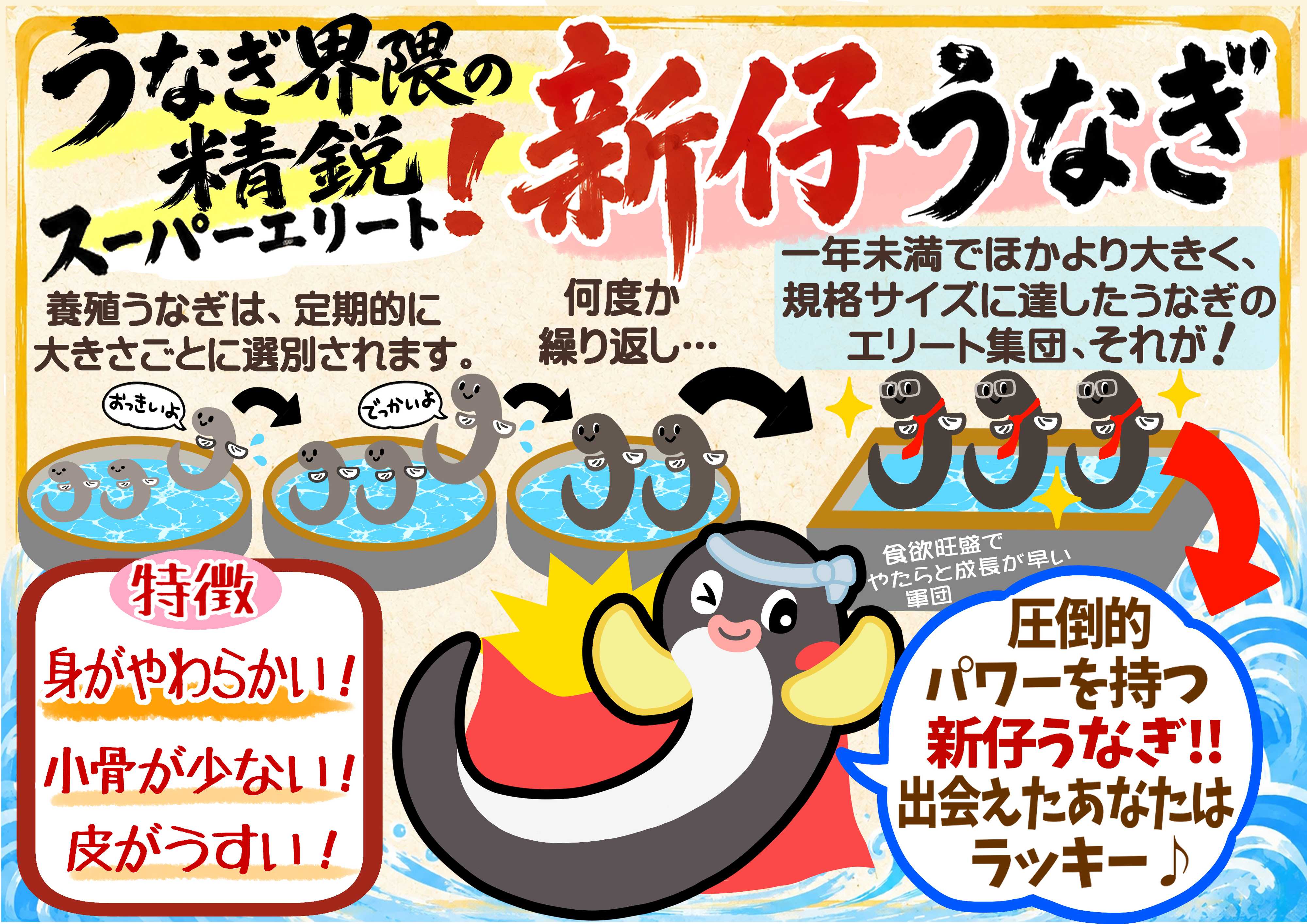 スーパーヤマイチ 数量限定！新仔うなぎ！