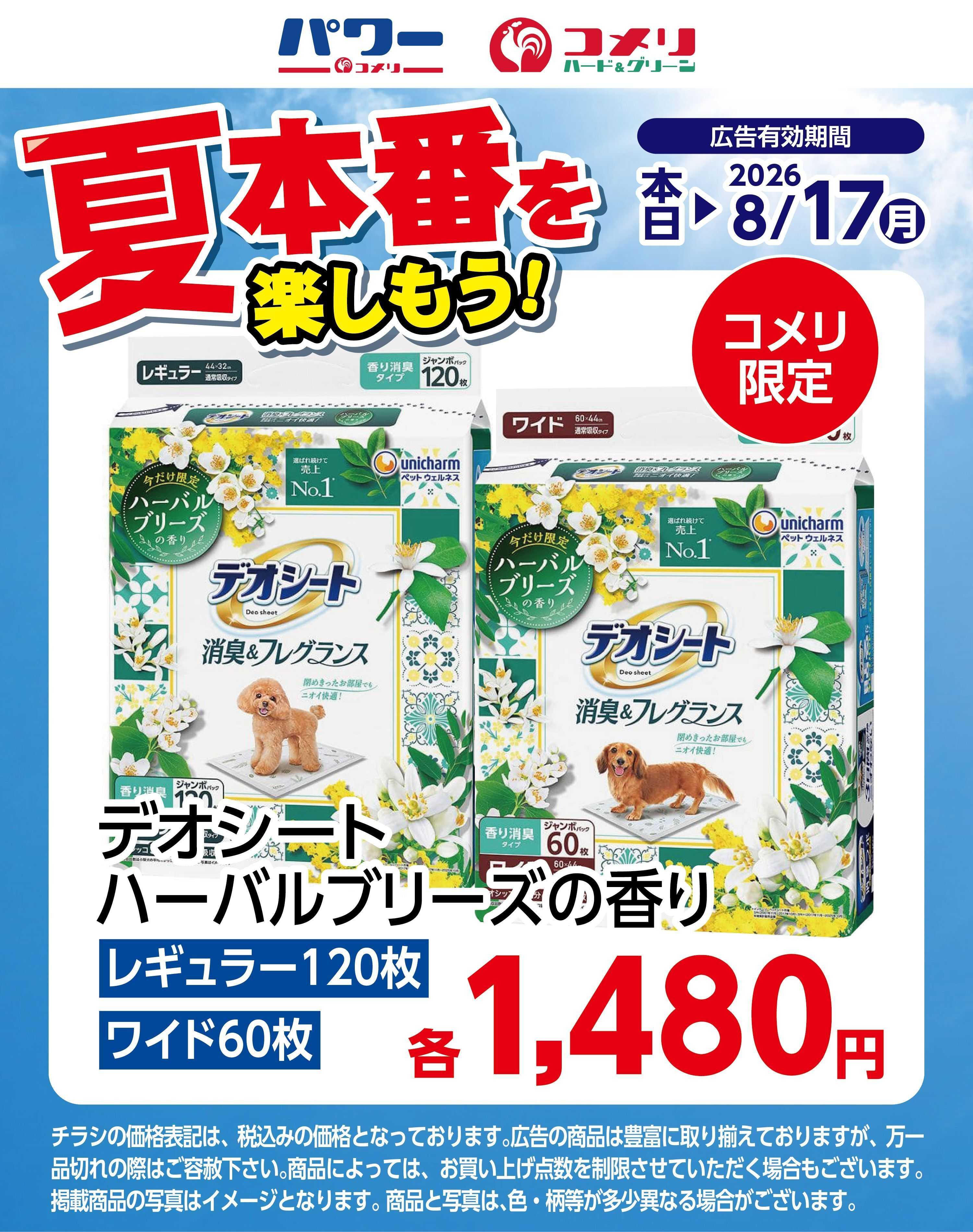 コメリハード＆グリーン 夏本番を楽しもう　デオシート