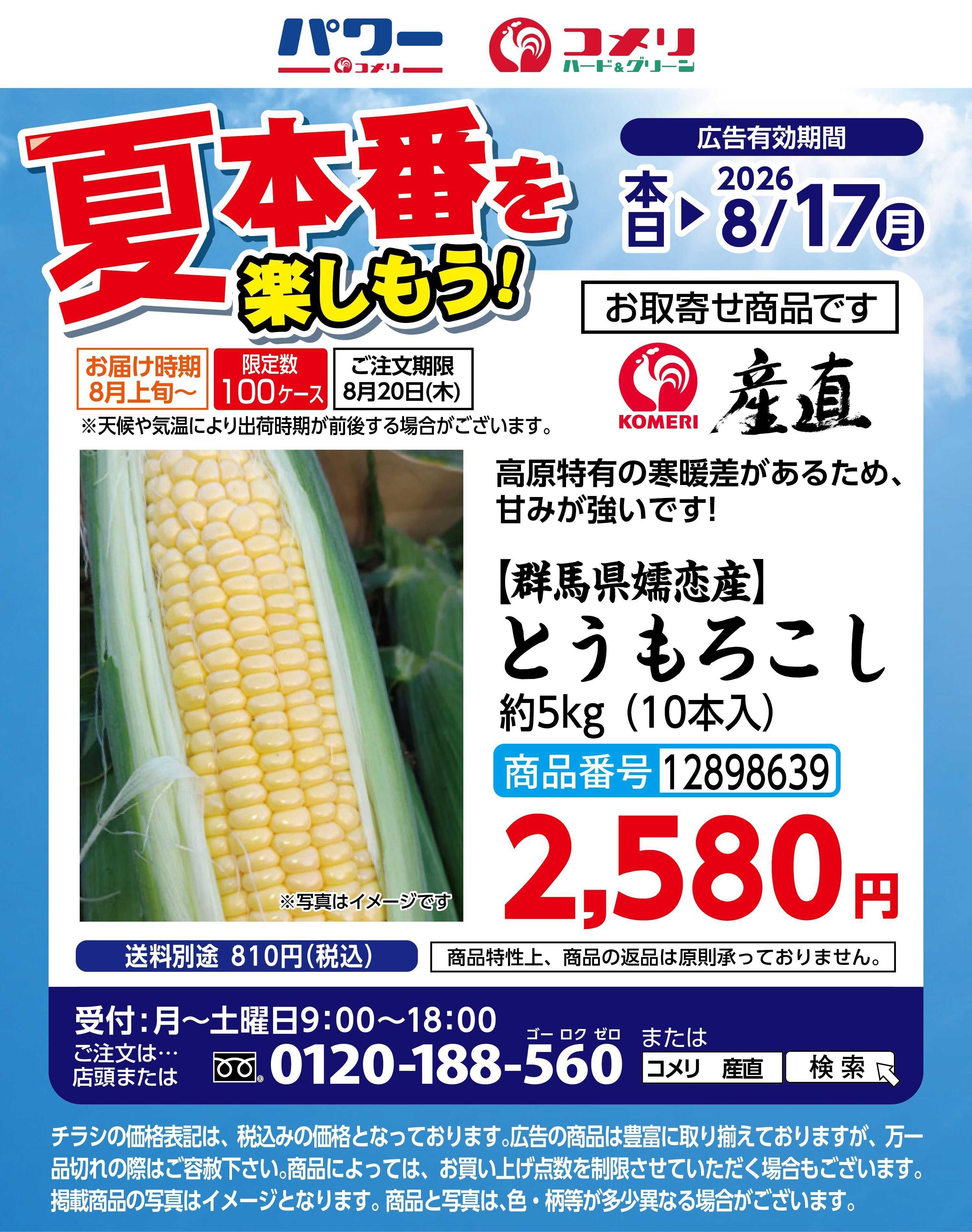 コメリハード＆グリーン 夏本番を楽しもう　トウモロコシ