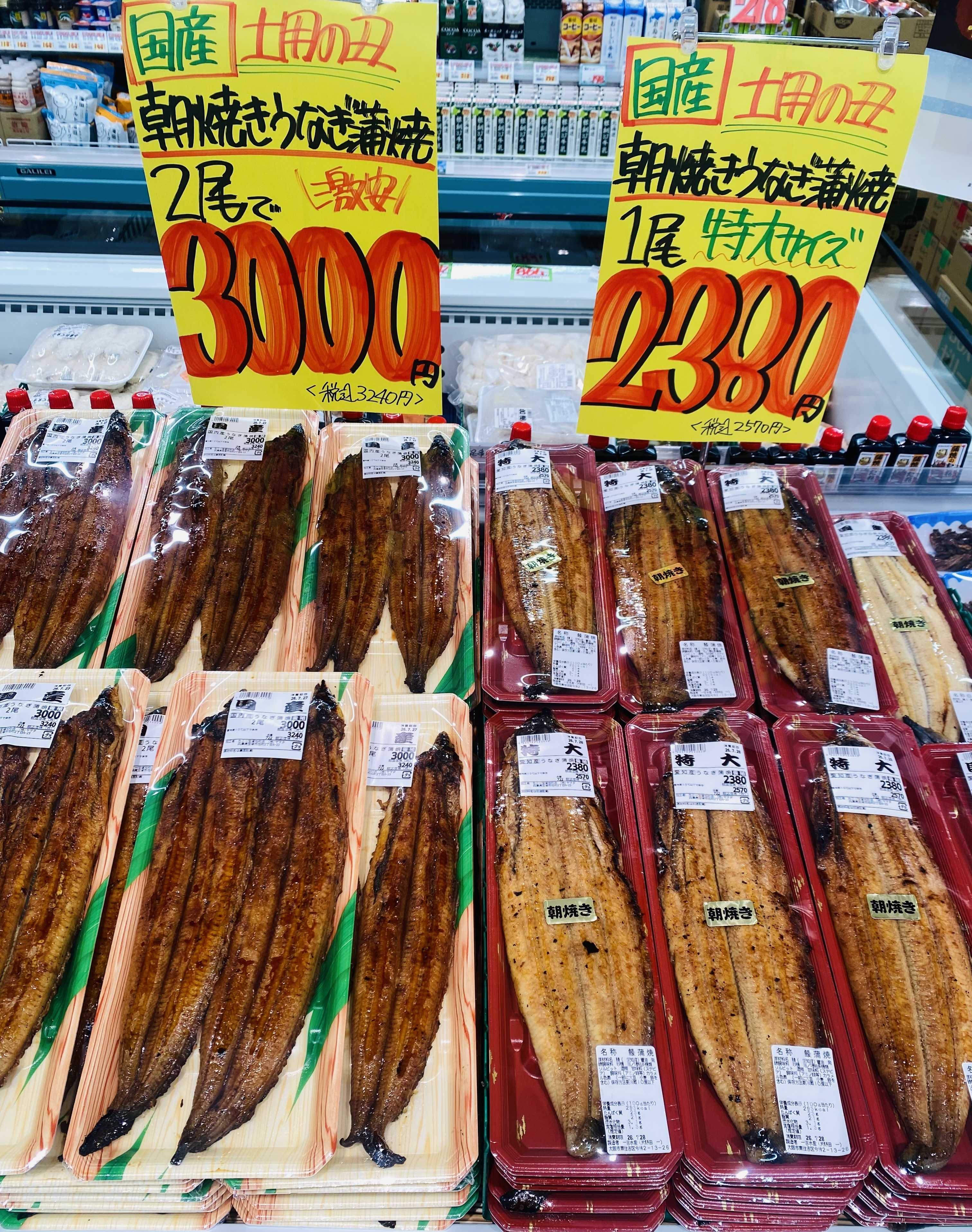 たこ一 