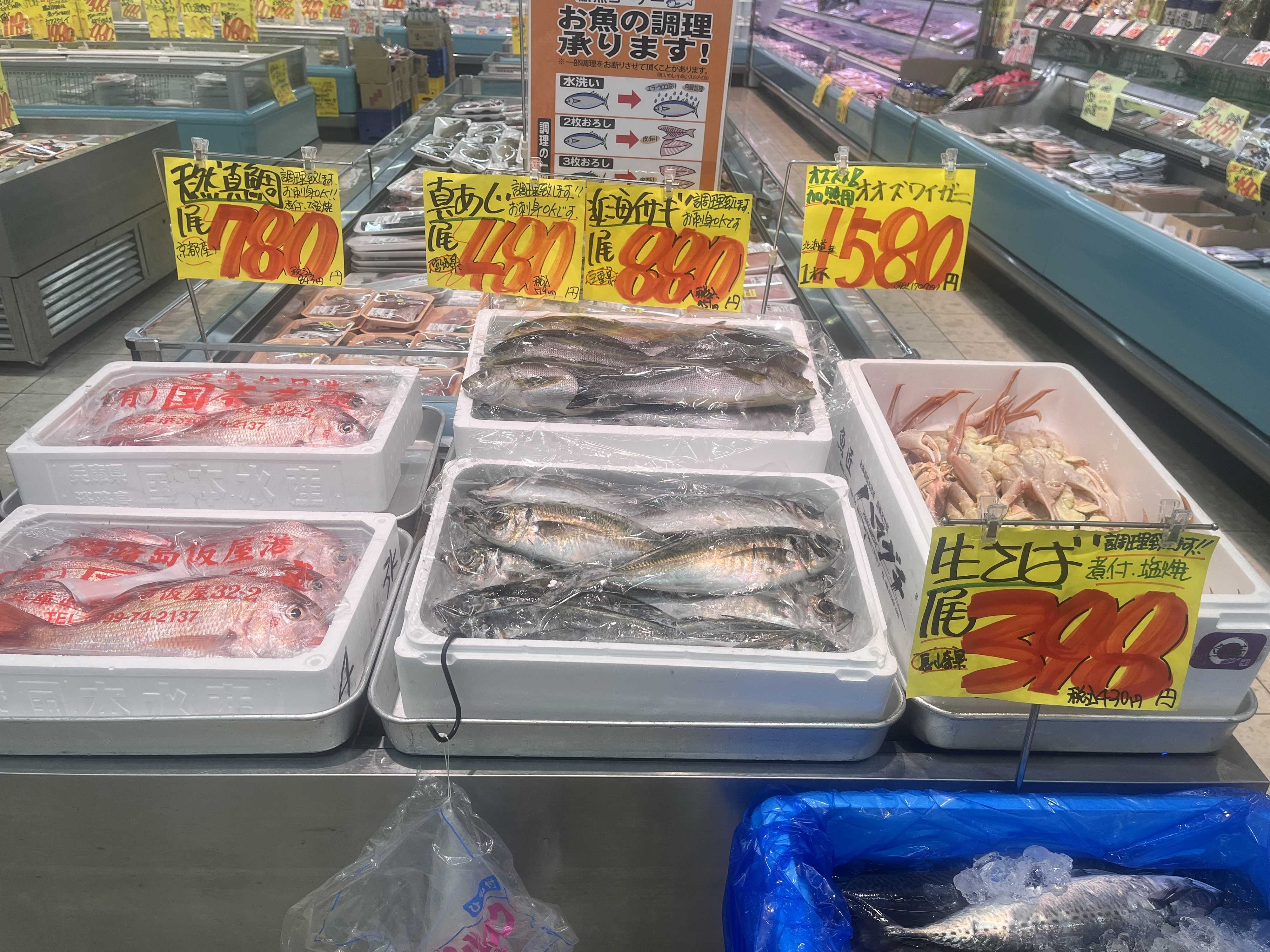 たこ一 