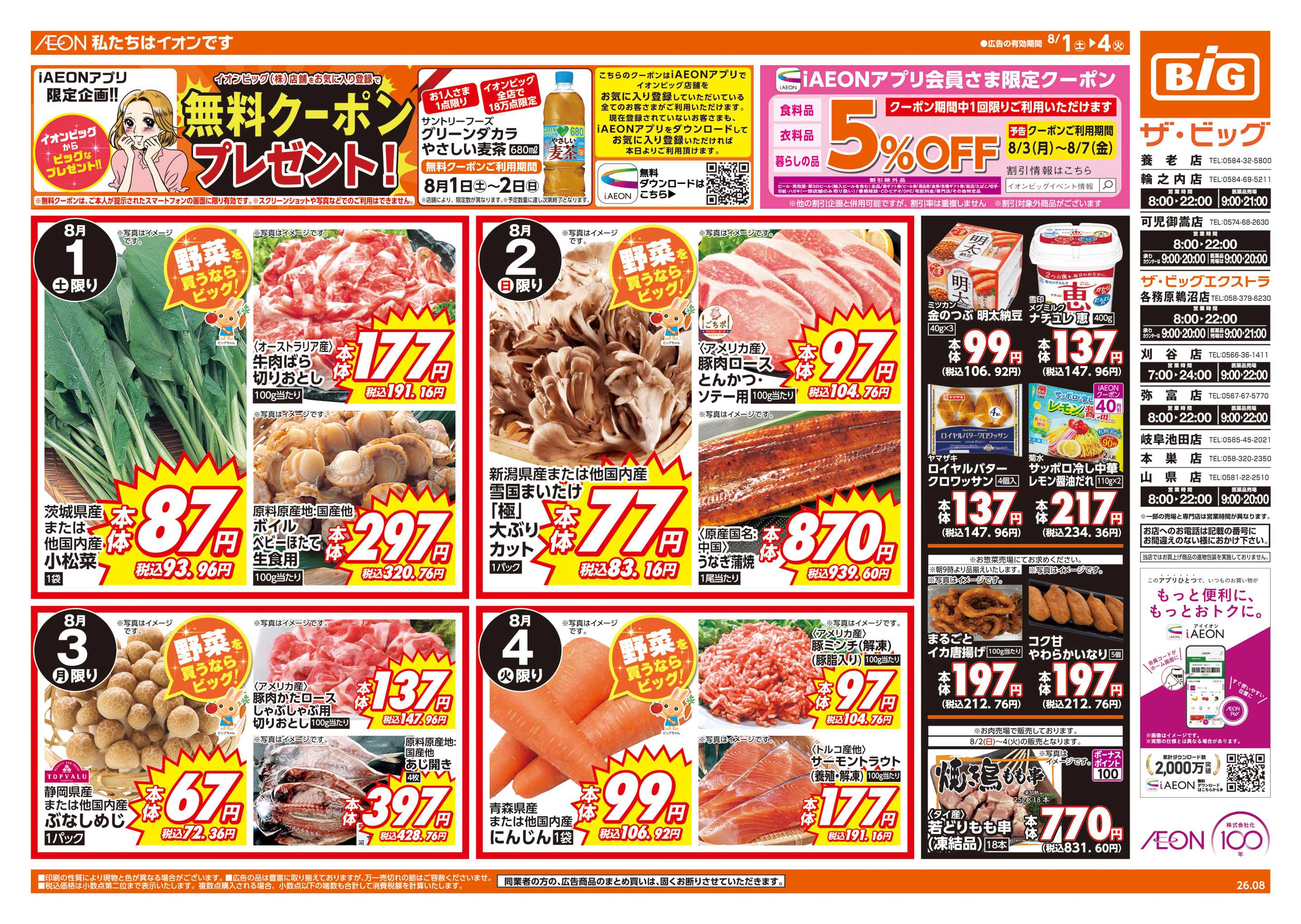 ザ・ビッグ 週末チラシ