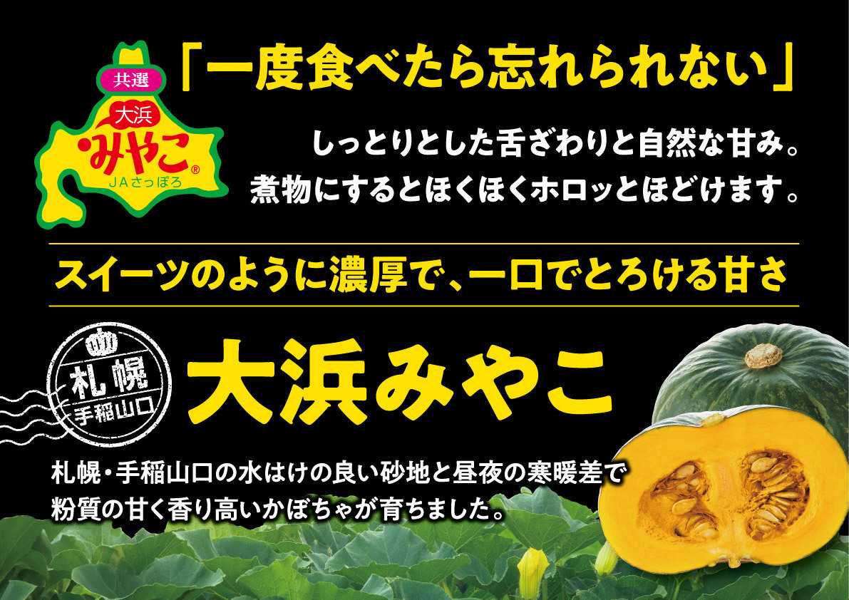 北海市場 【8月のこだわり商品】大浜みやこかぼちゃ▼▼お知らせをチェック！▼▼