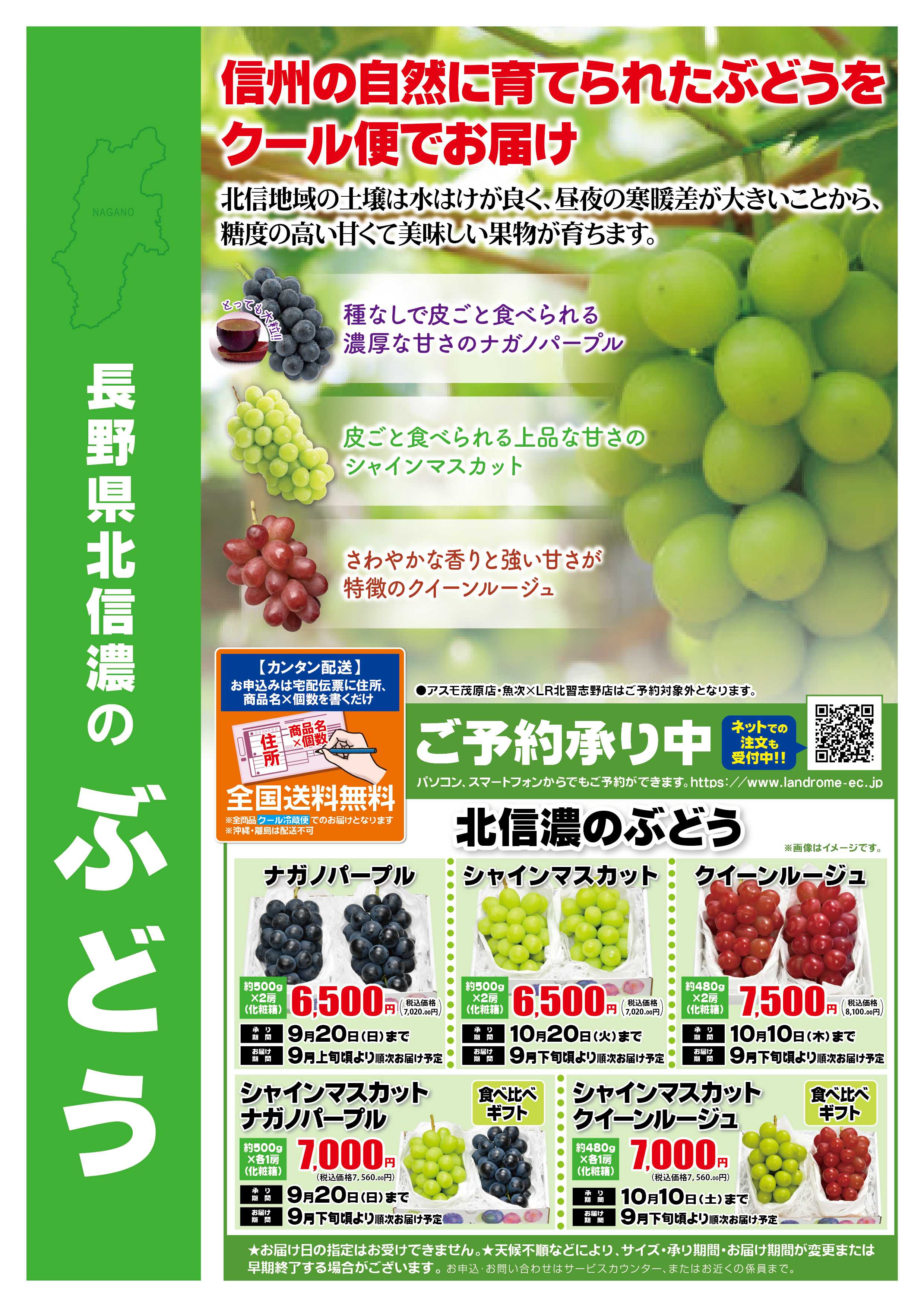 ランドローム 産直ギフト_長野県北信濃のぶどう