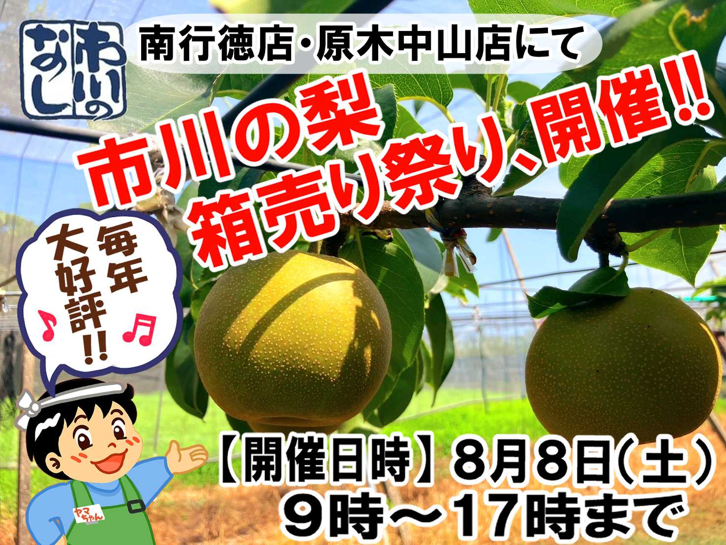 スーパーヤマイチ 市川の梨、箱売り祭り開催！！