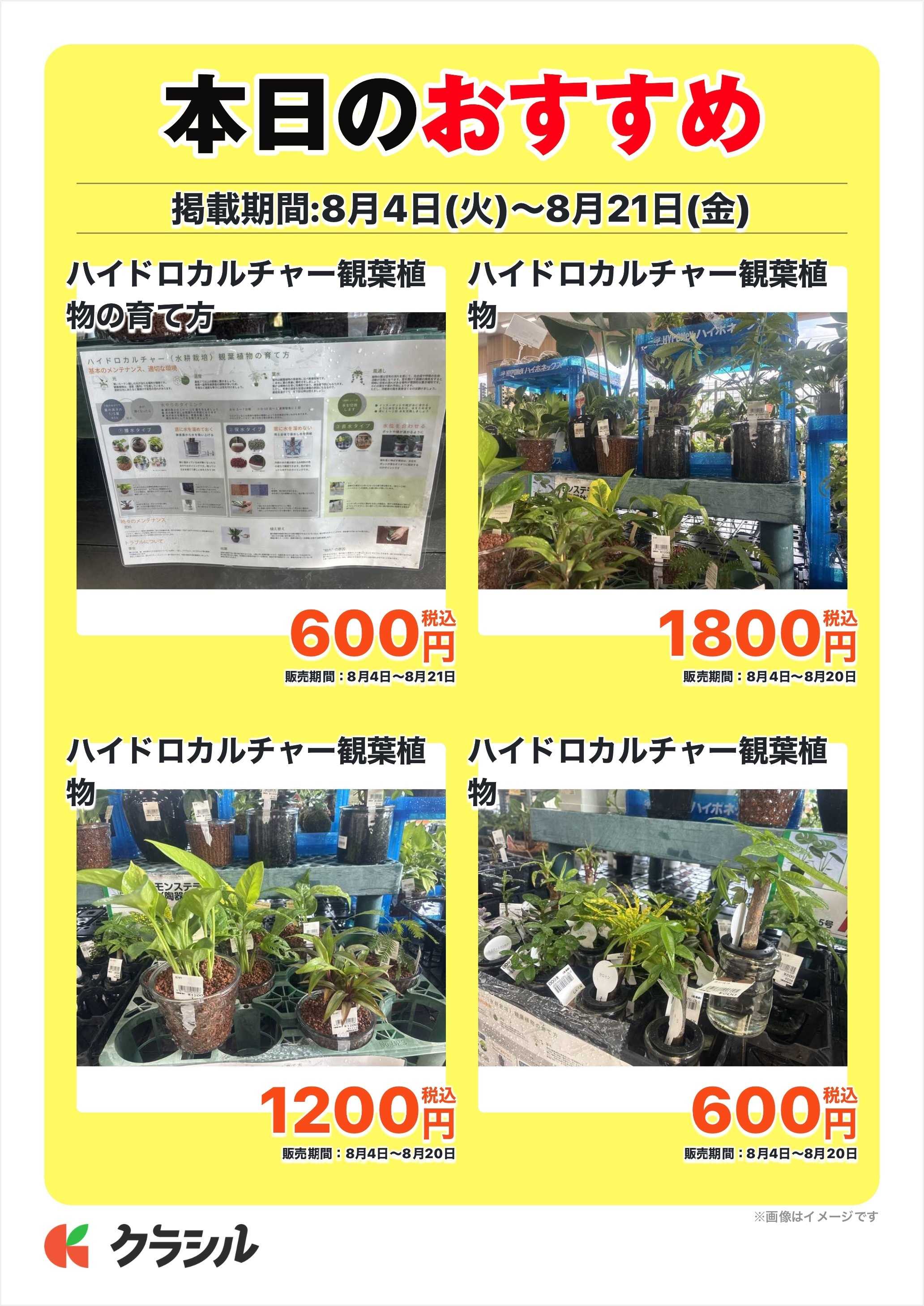 JAあいち尾東 本日のおすすめ