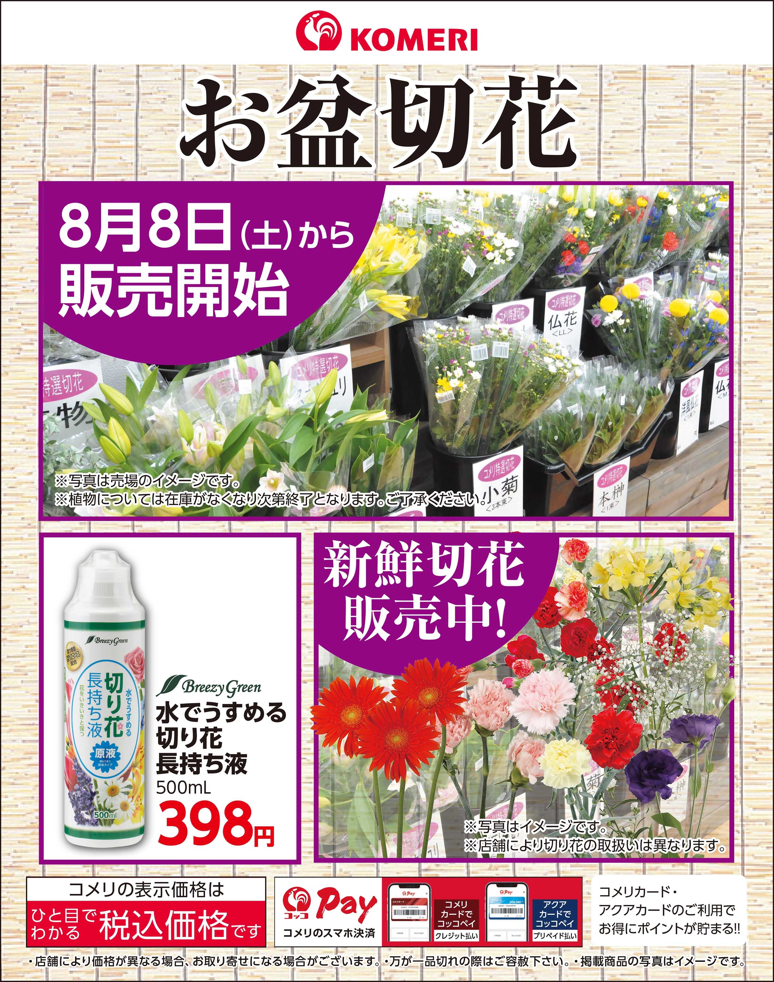 コメリハード＆グリーン お盆切花