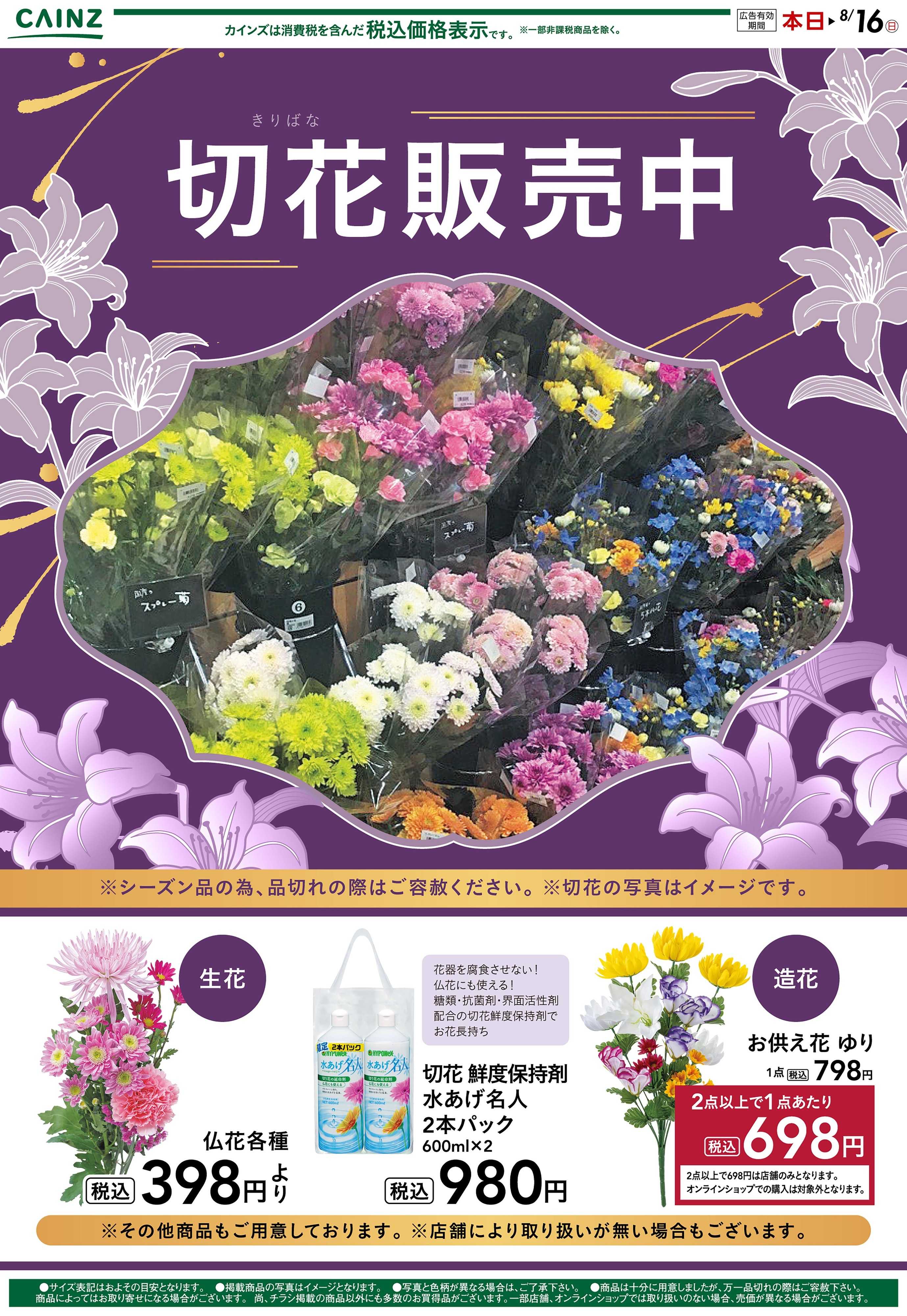 カインズ 切花販売中② 8/9号○
