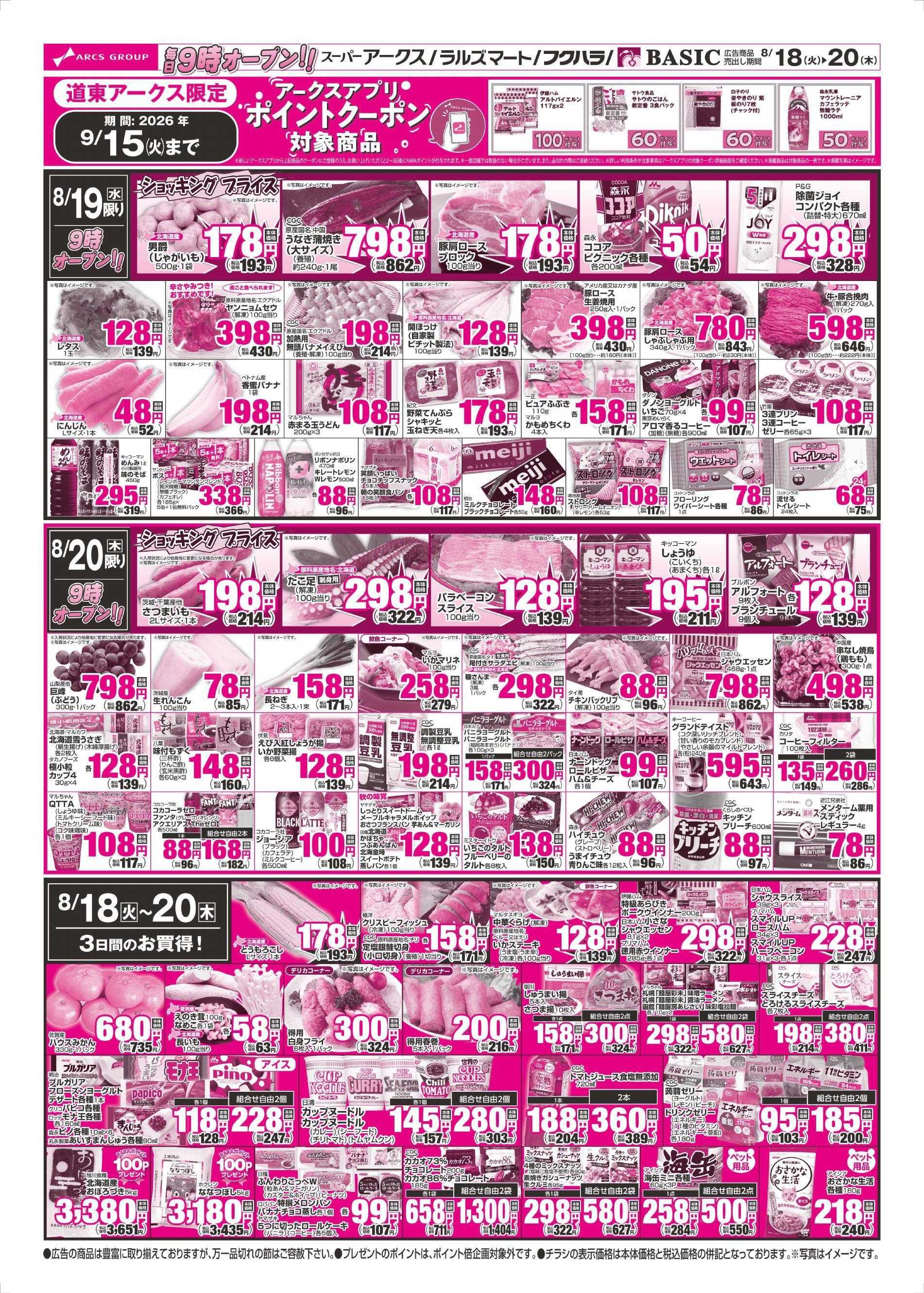 BASIC 8/18～8/20チラシ裏