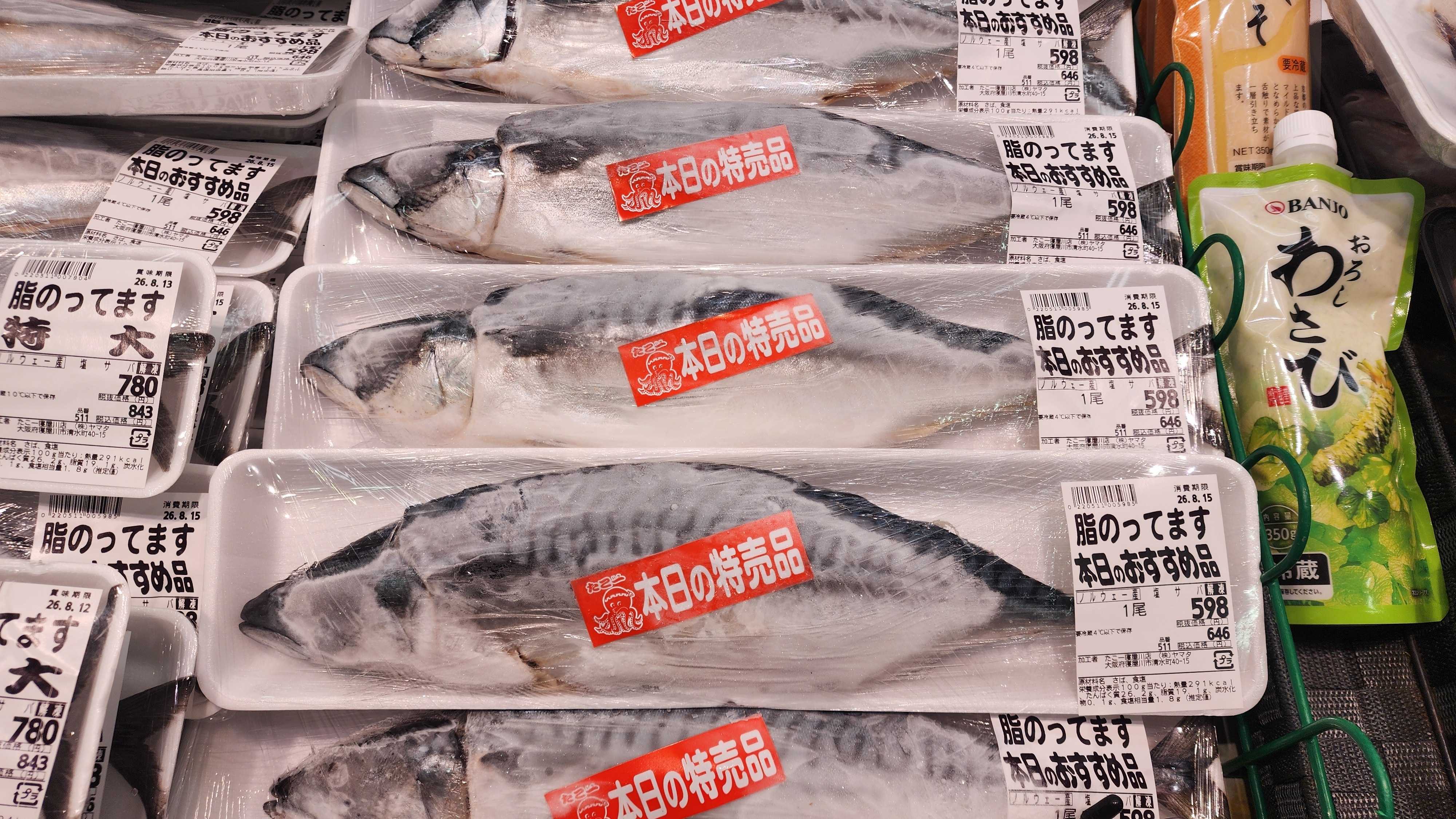 たこ一 