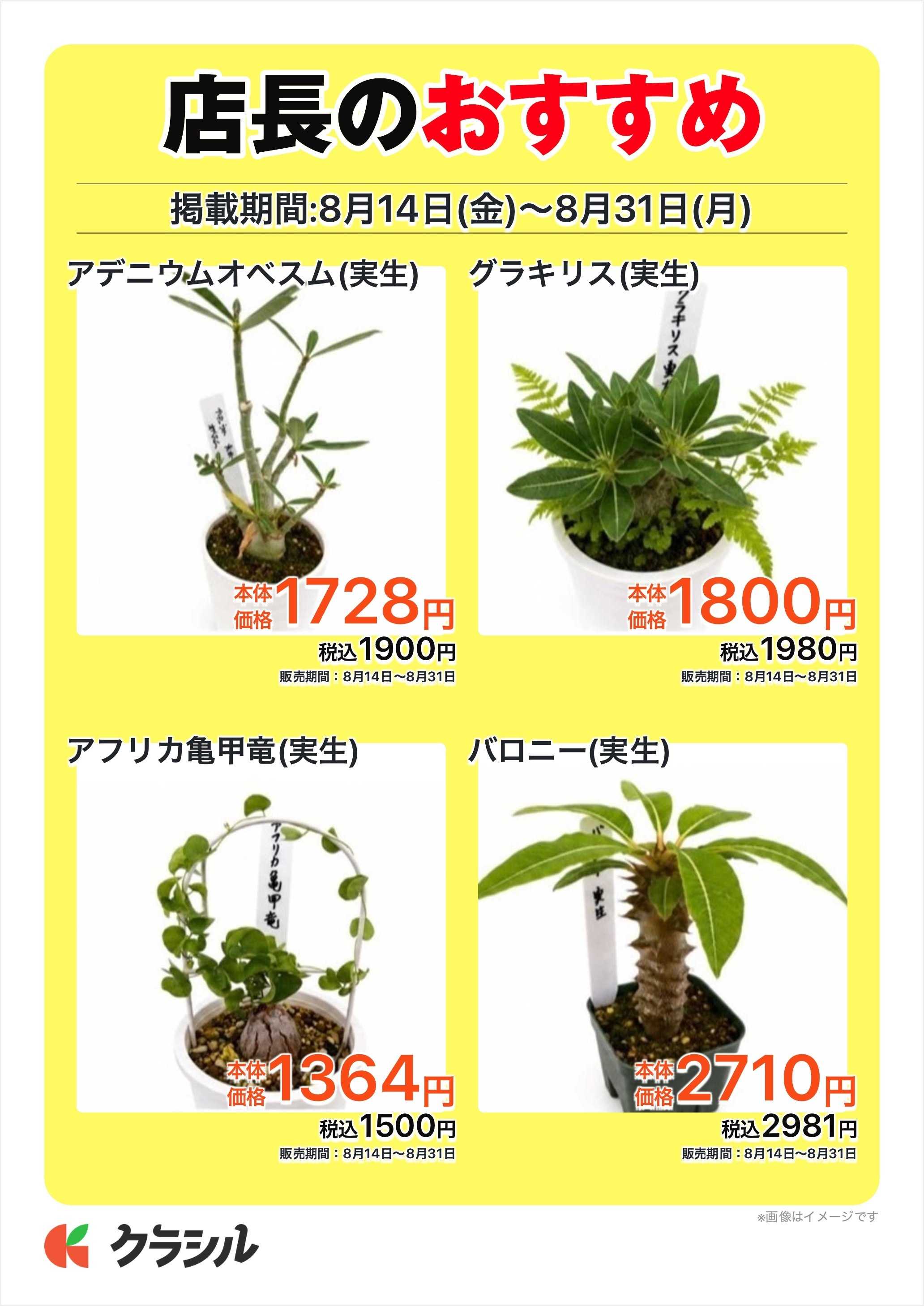 JAあいち尾東 店長のおすすめ
