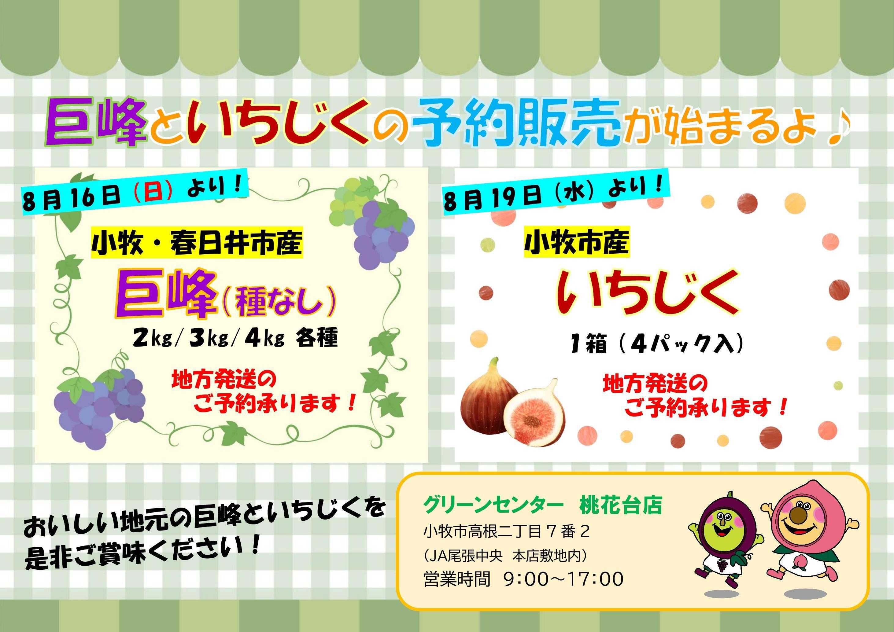 JA尾張中央 地元産 巨峰といちじくの予約販売が始まります！