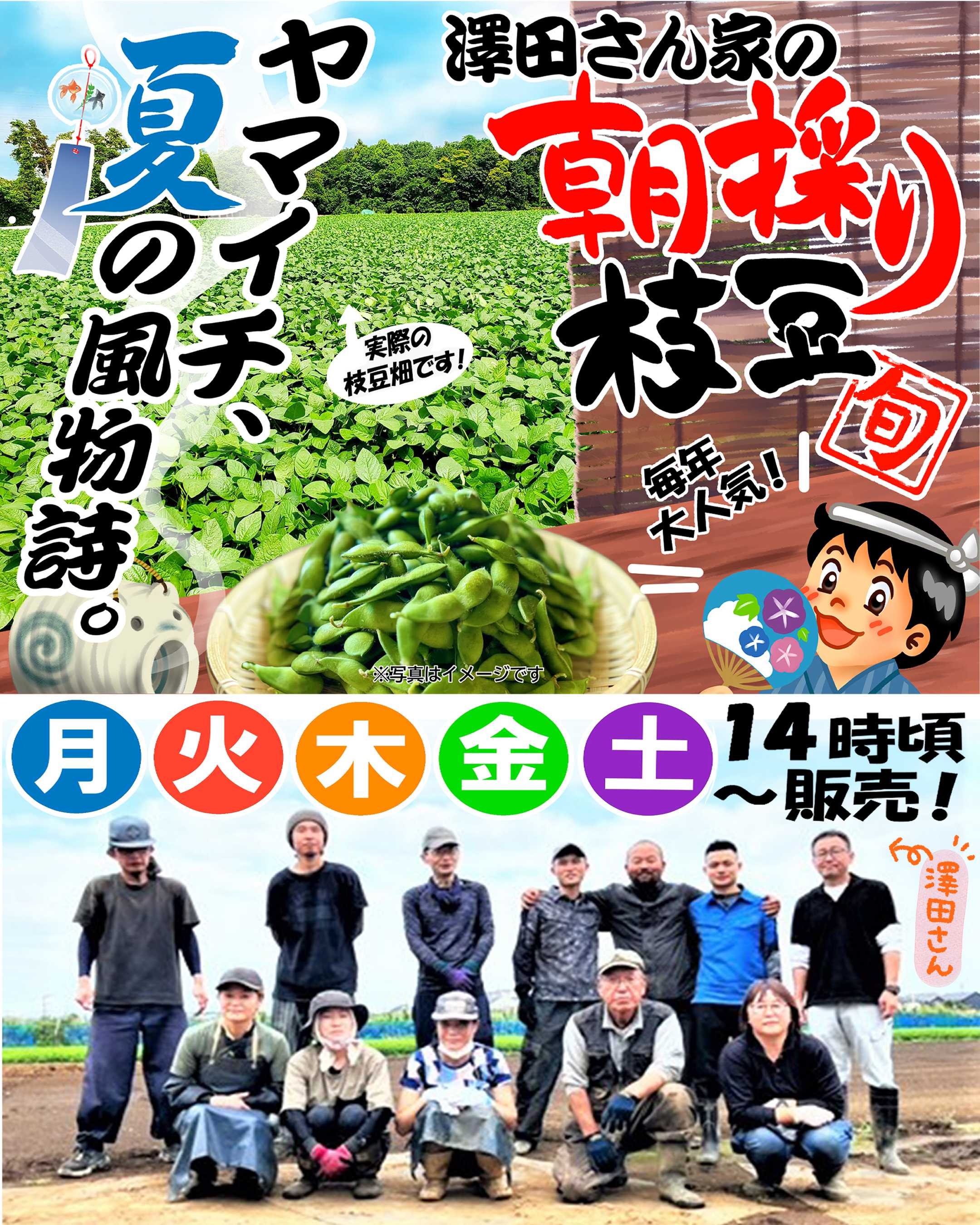 スーパーヤマイチ 期間限定、澤田さん家の「朝採り」枝豆！