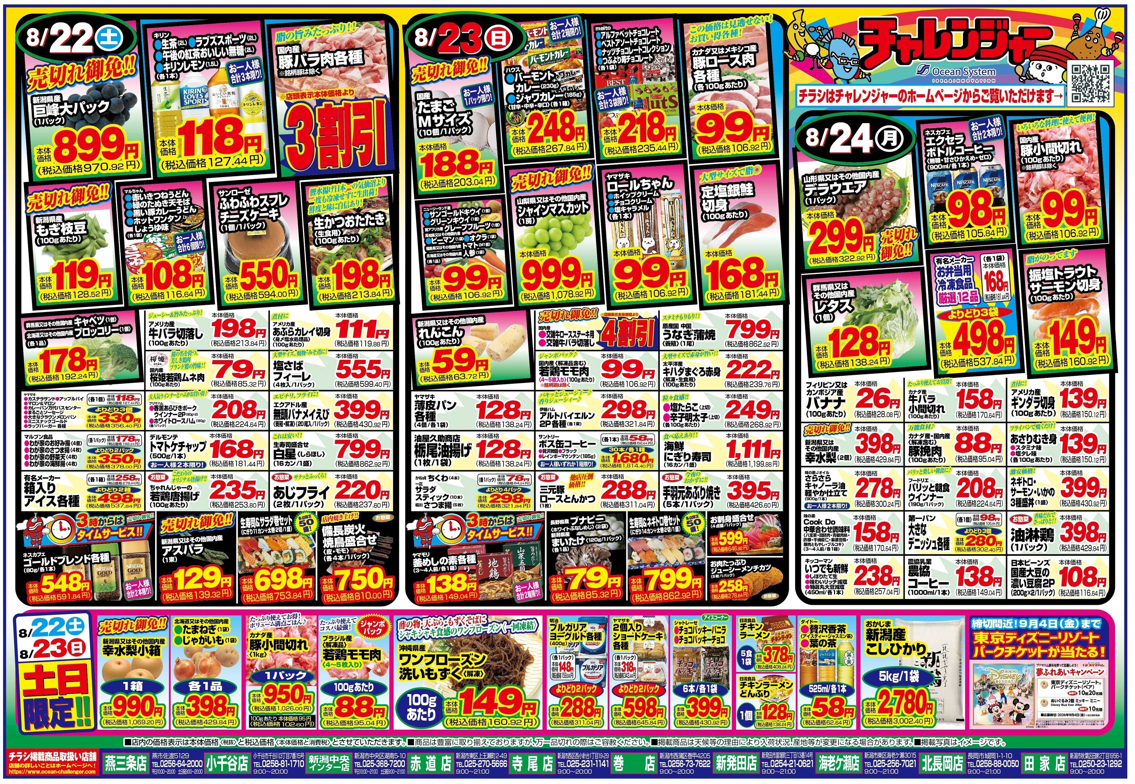 チャレンジャー 8月22日～8月24日　日替りお買い得情報！