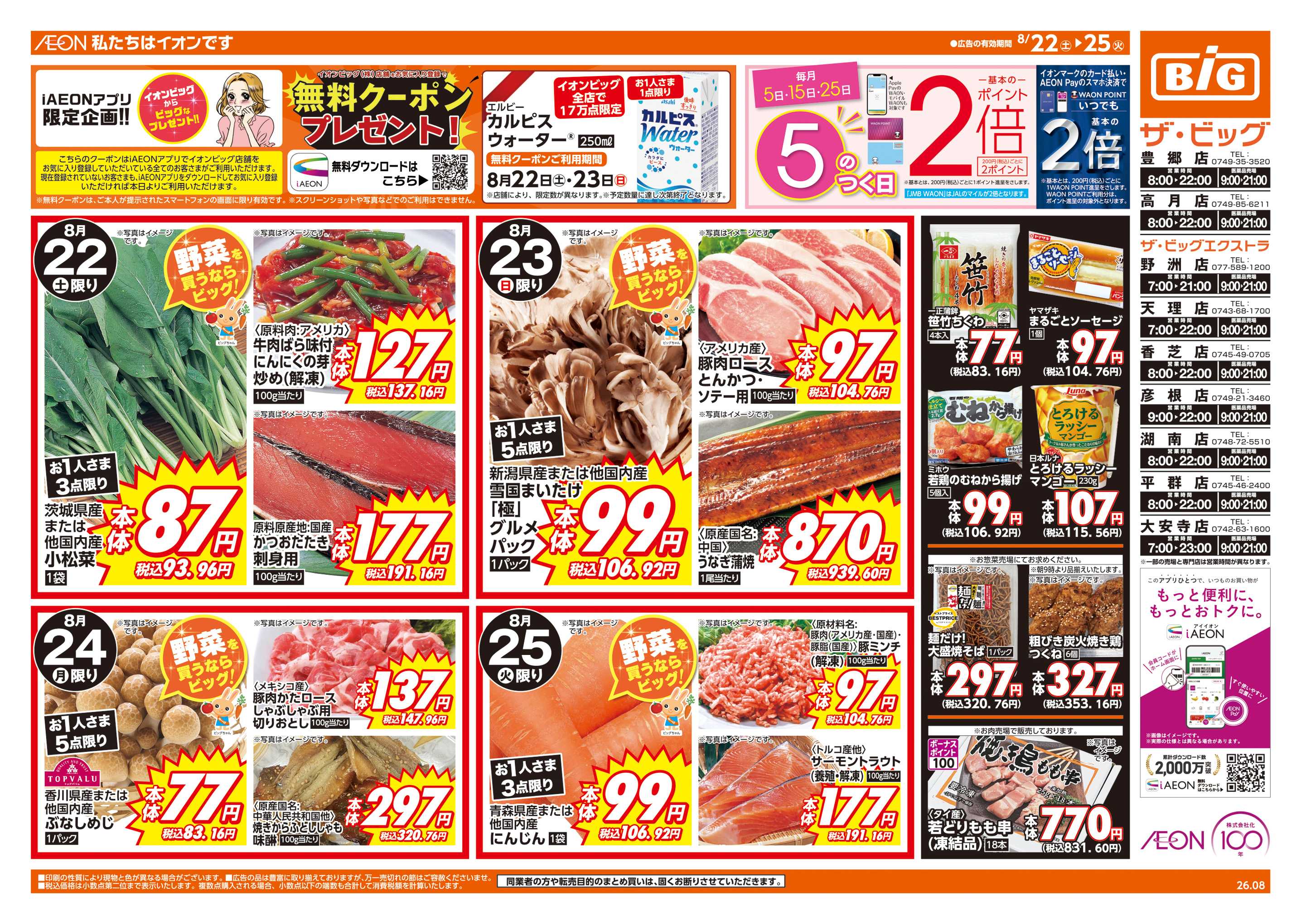 ザ・ビッグエクストラ 週末チラシ