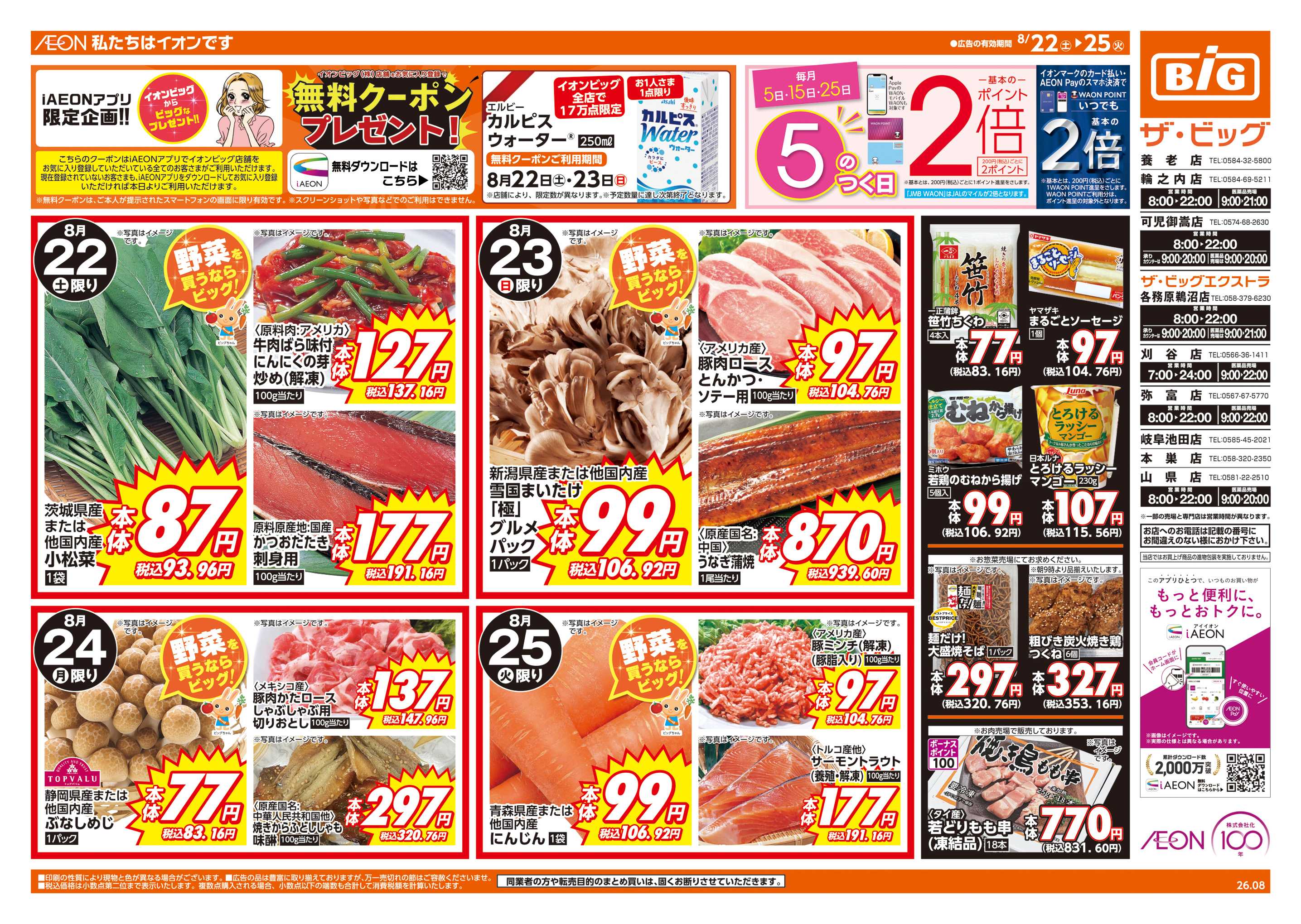 ザ・ビッグエクストラ 週末チラシ