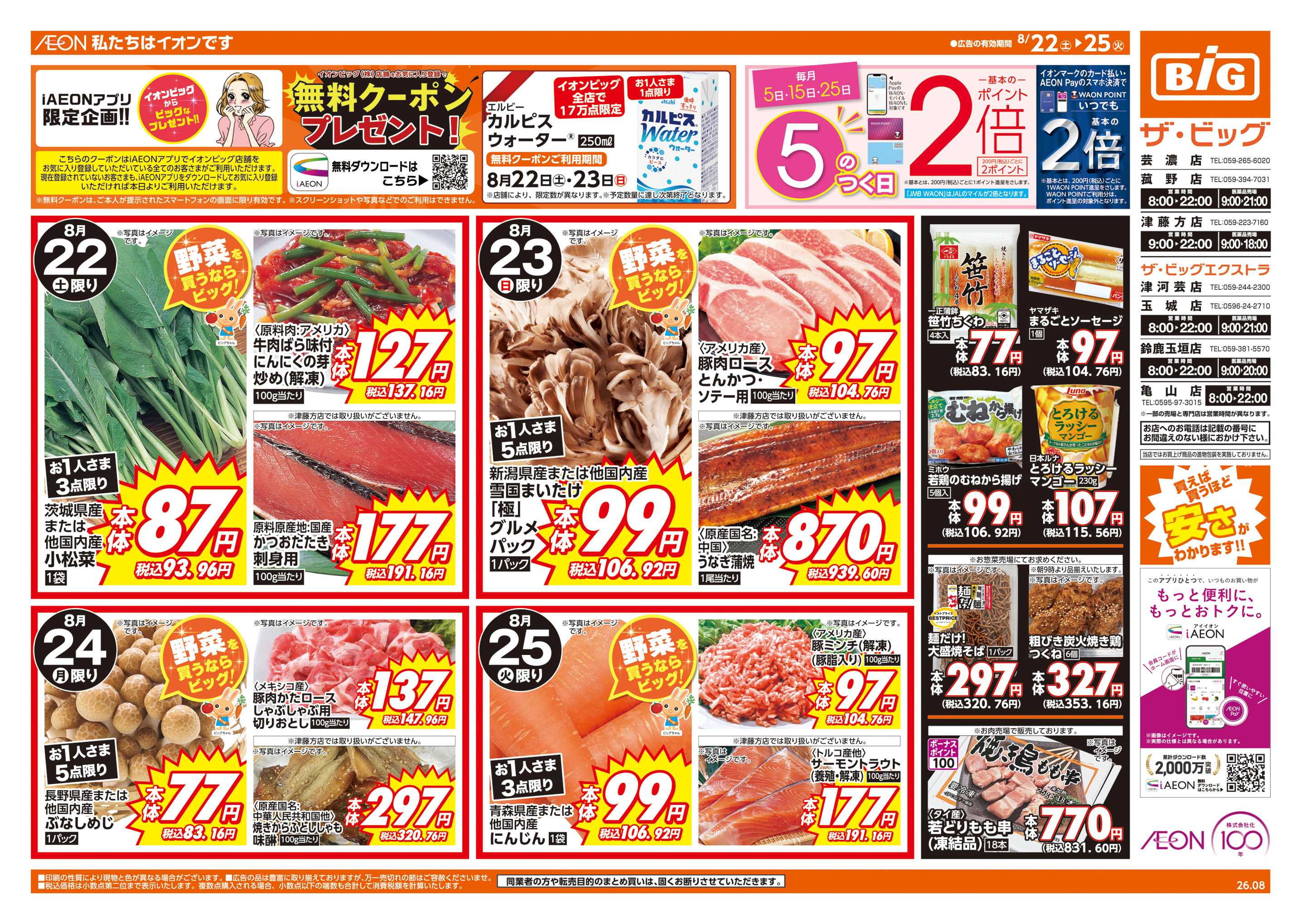 ザ・ビッグ 週末チラシ