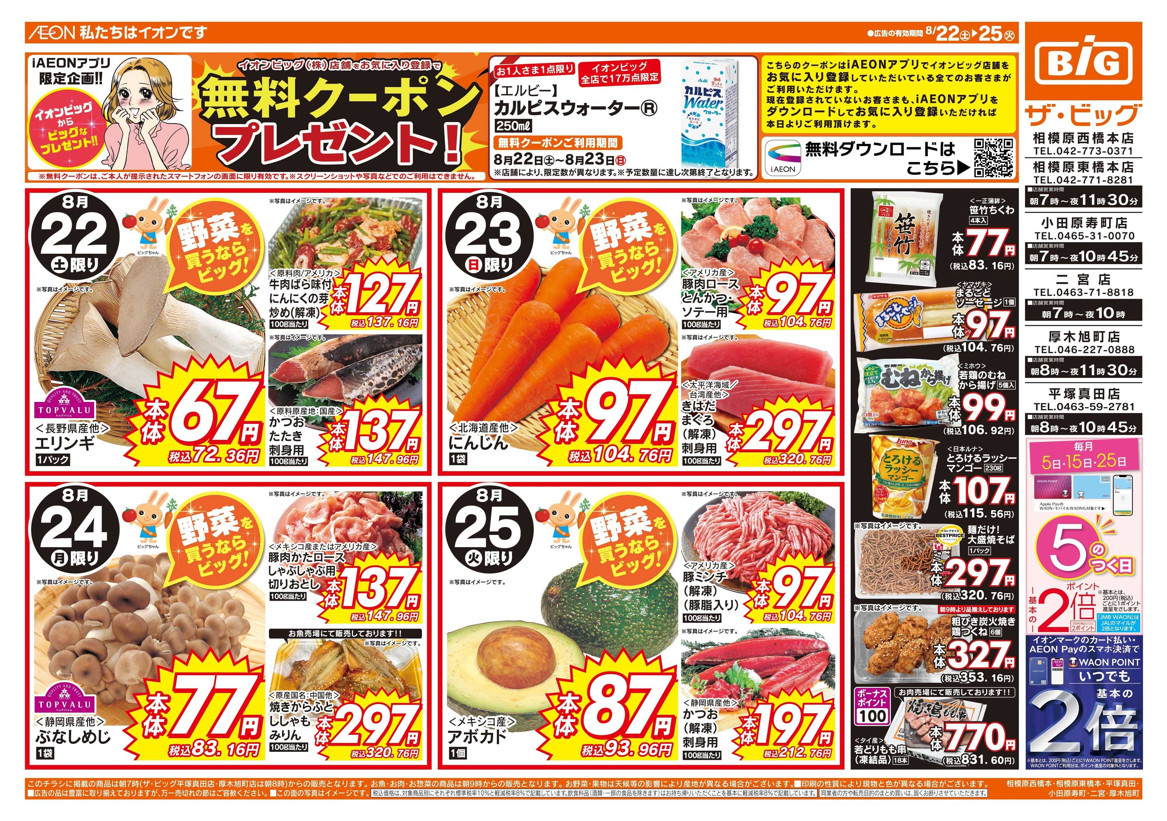 ザ・ビッグ 毎月５のつく日はポイント２倍！