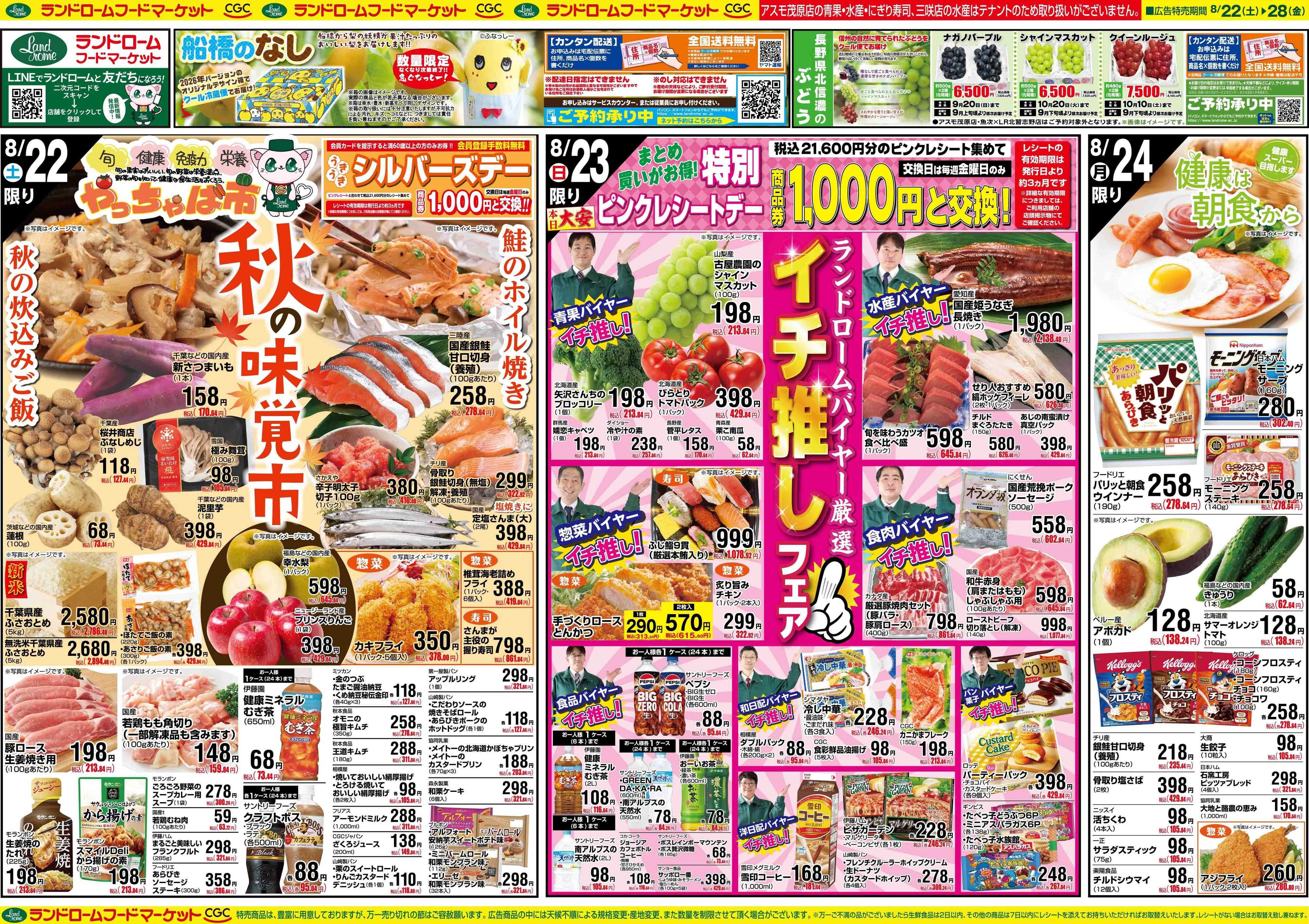 ランドローム 8/22号