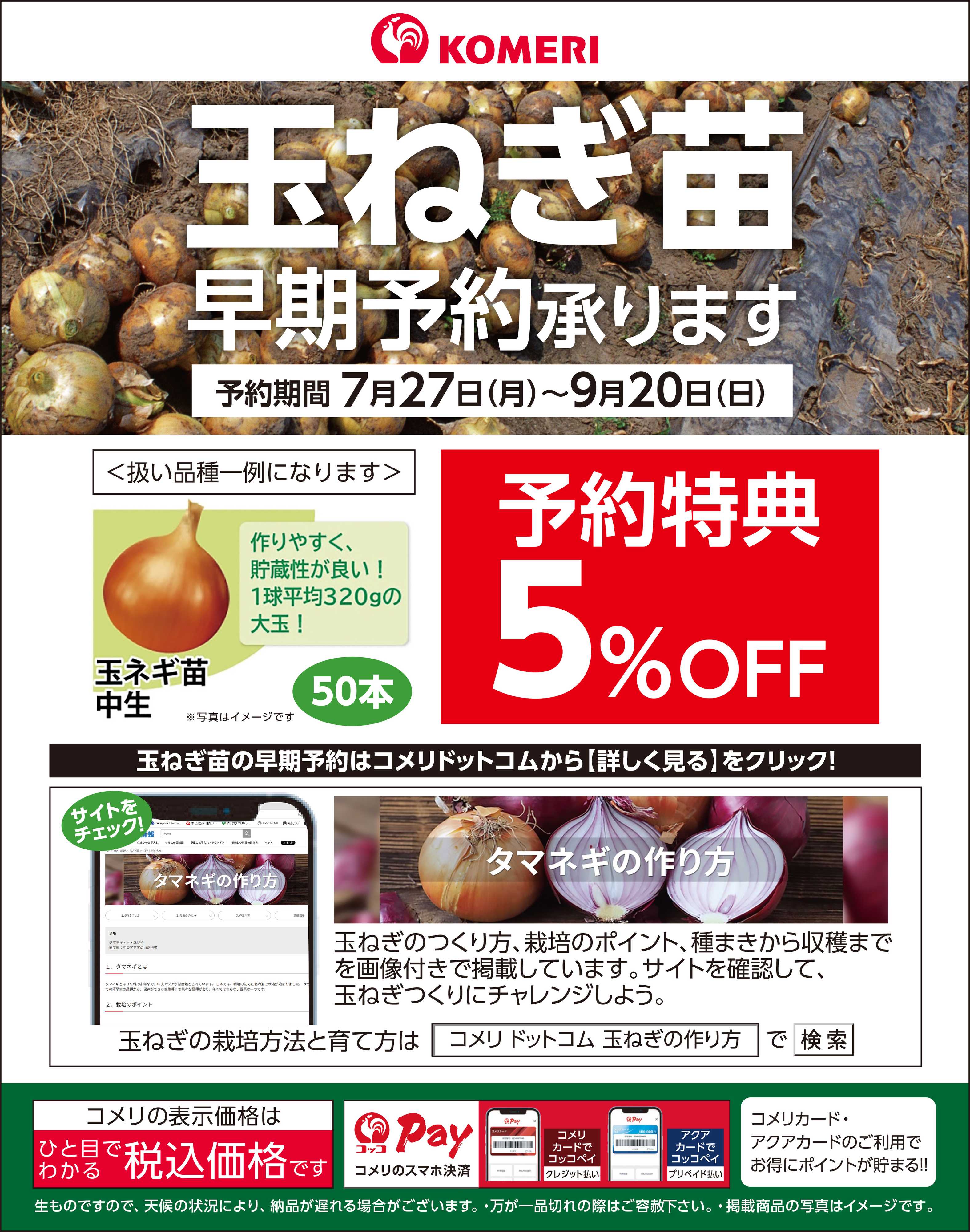 コメリハード＆グリーン 玉ねぎ苗 早期予約承ります
