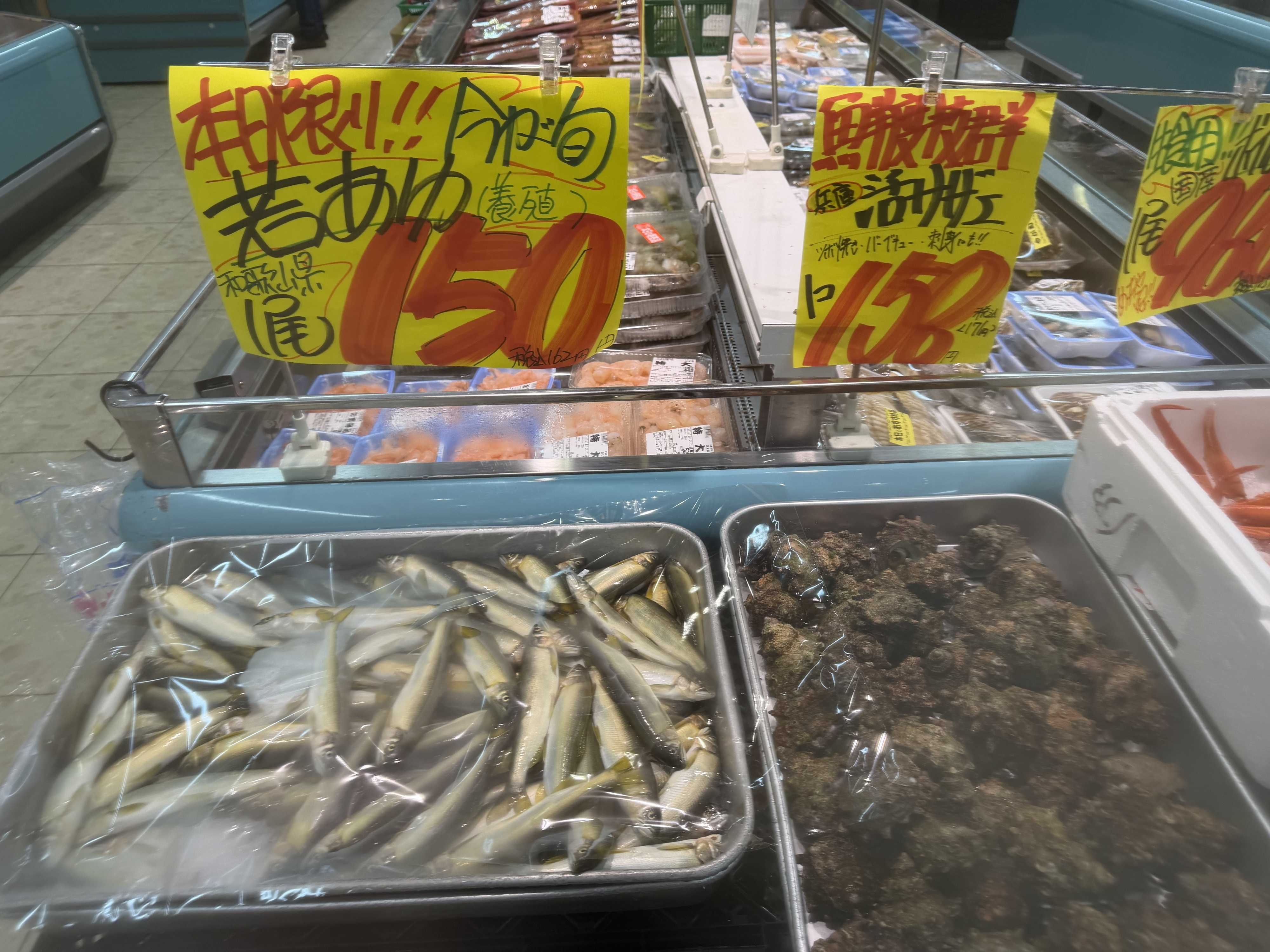 たこ一 