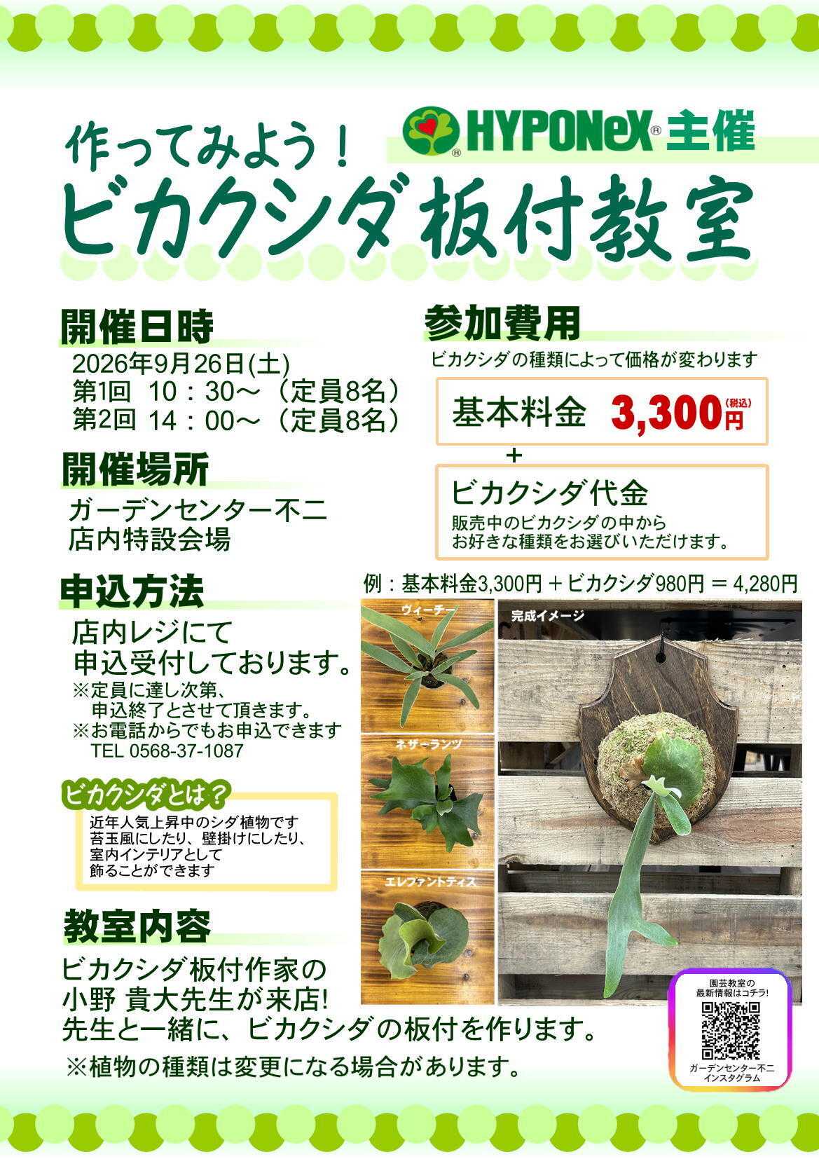 JA尾張中央 ガーデンセンター不二　9/26　ビカクシダの板付教室開催！