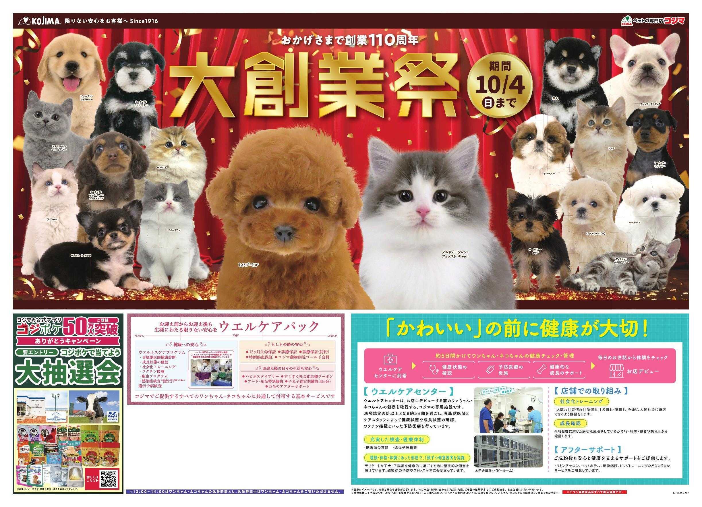 ペットの専門店コジマ ペットの専門店コジマ大創業祭