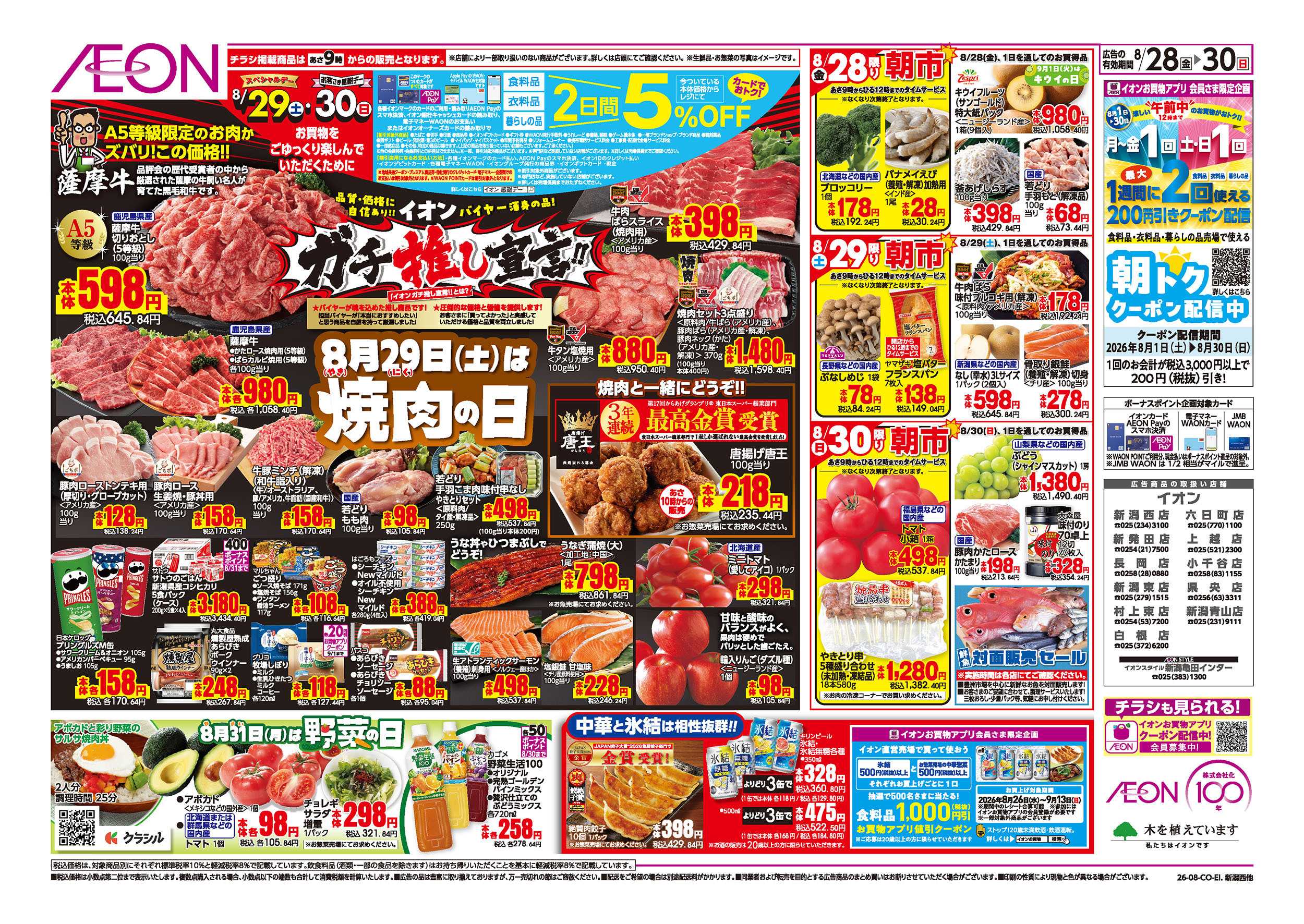 イオン 8/28号　イオンガチ推し宣言：裏面