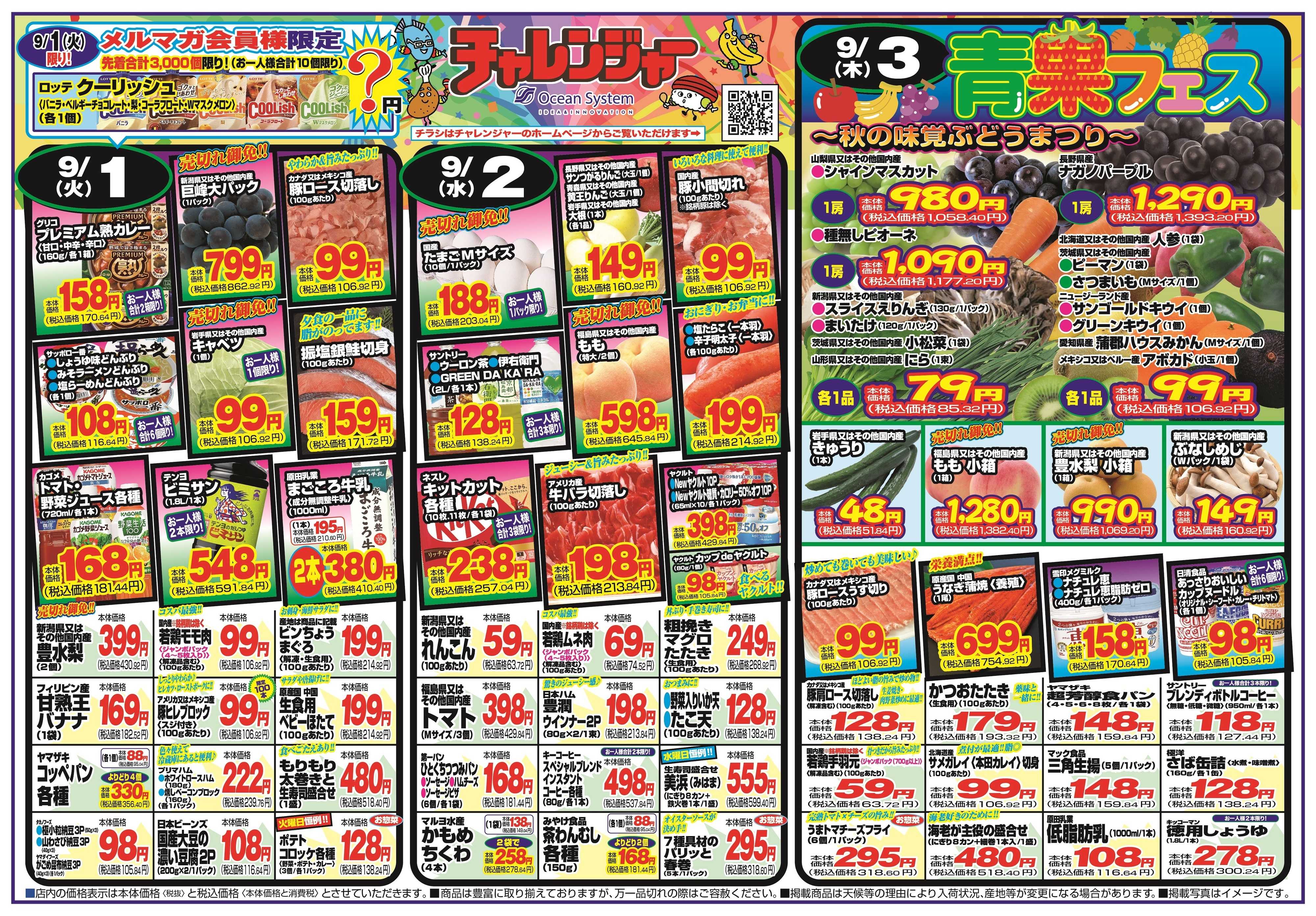 チャレンジャー 9月1日～9月4日　日替りお買い得情報！