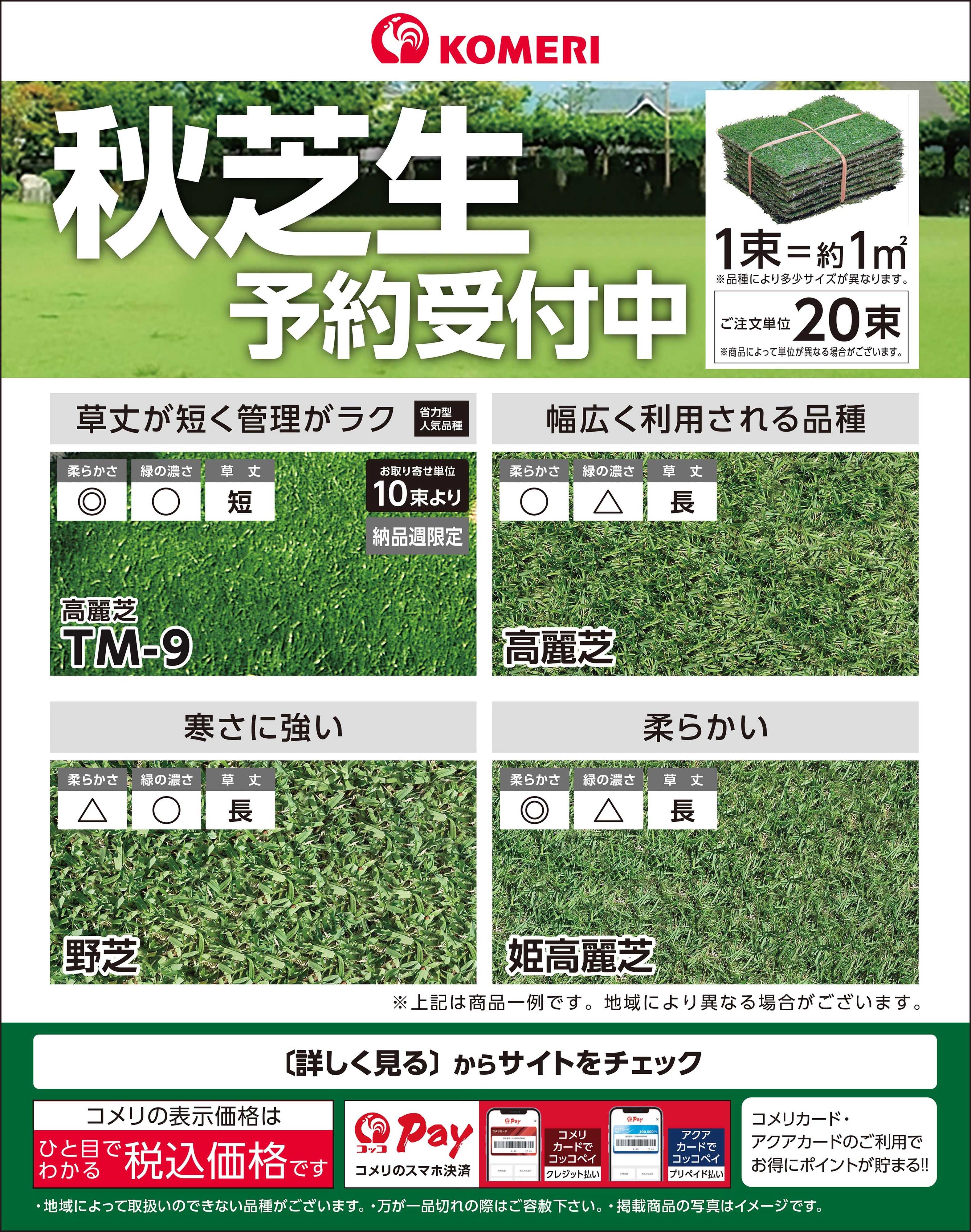コメリハード＆グリーン 秋芝生 予約受付中