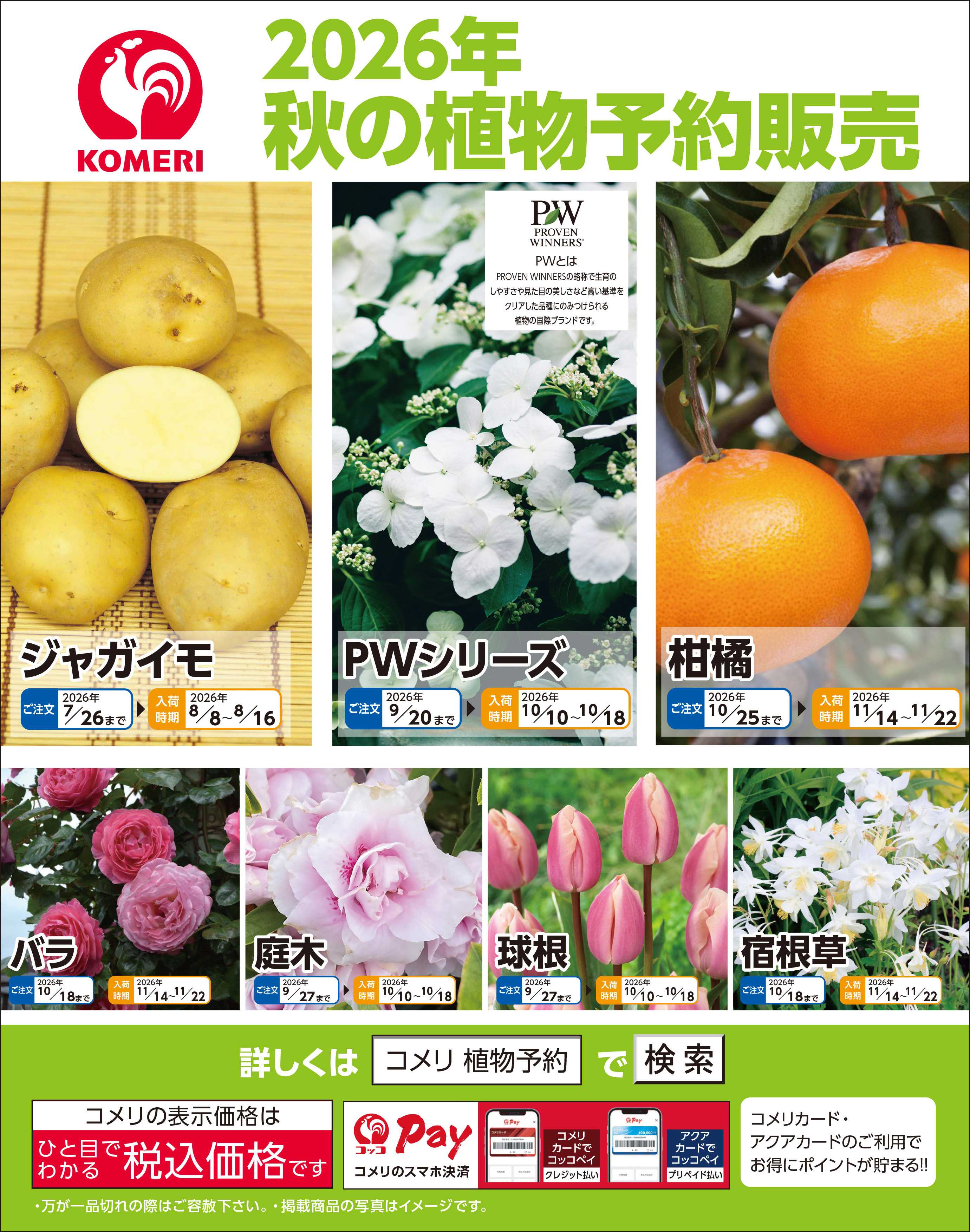 コメリハード＆グリーン 2026年 秋の植物予約販売