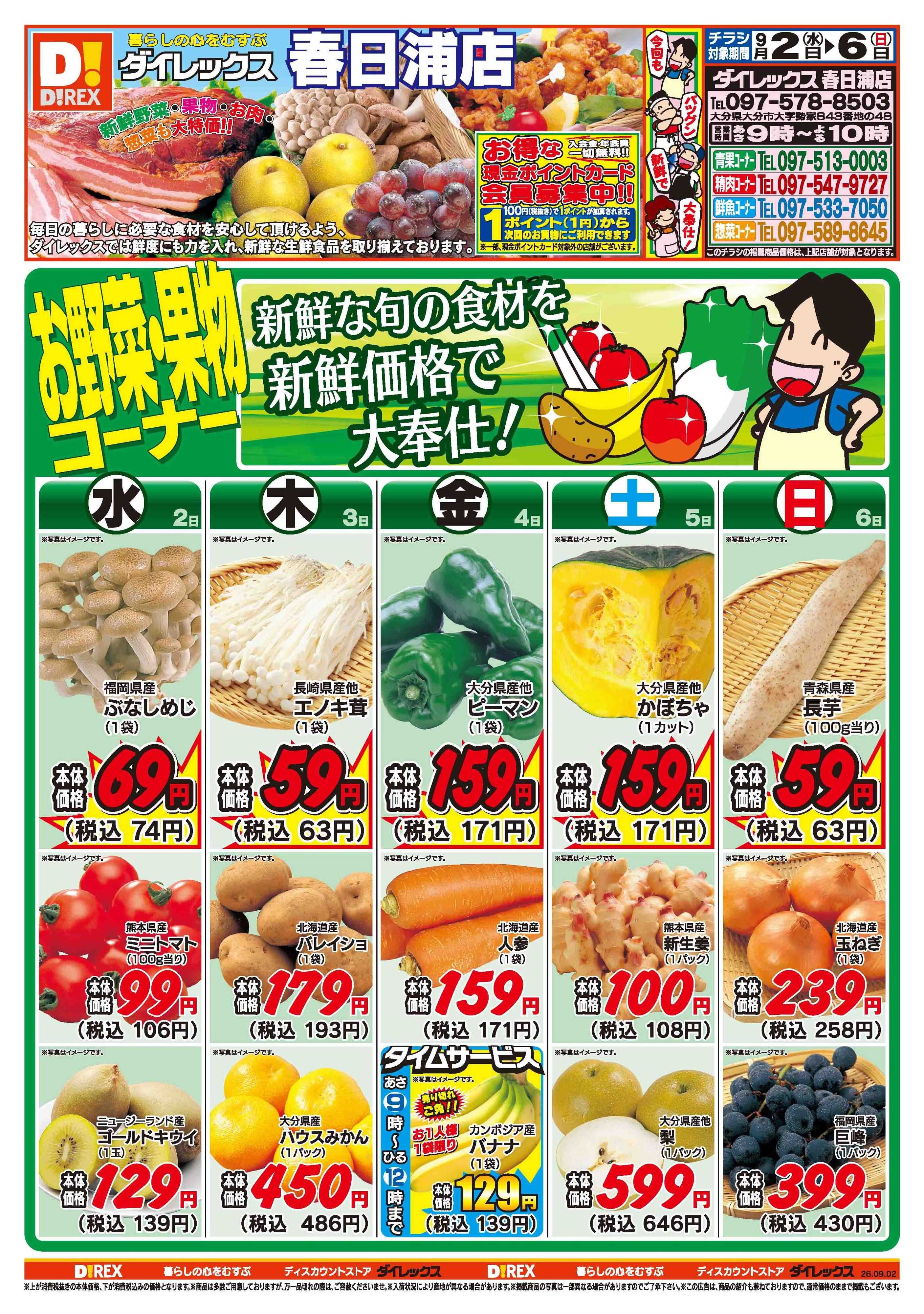 ダイレックス 
