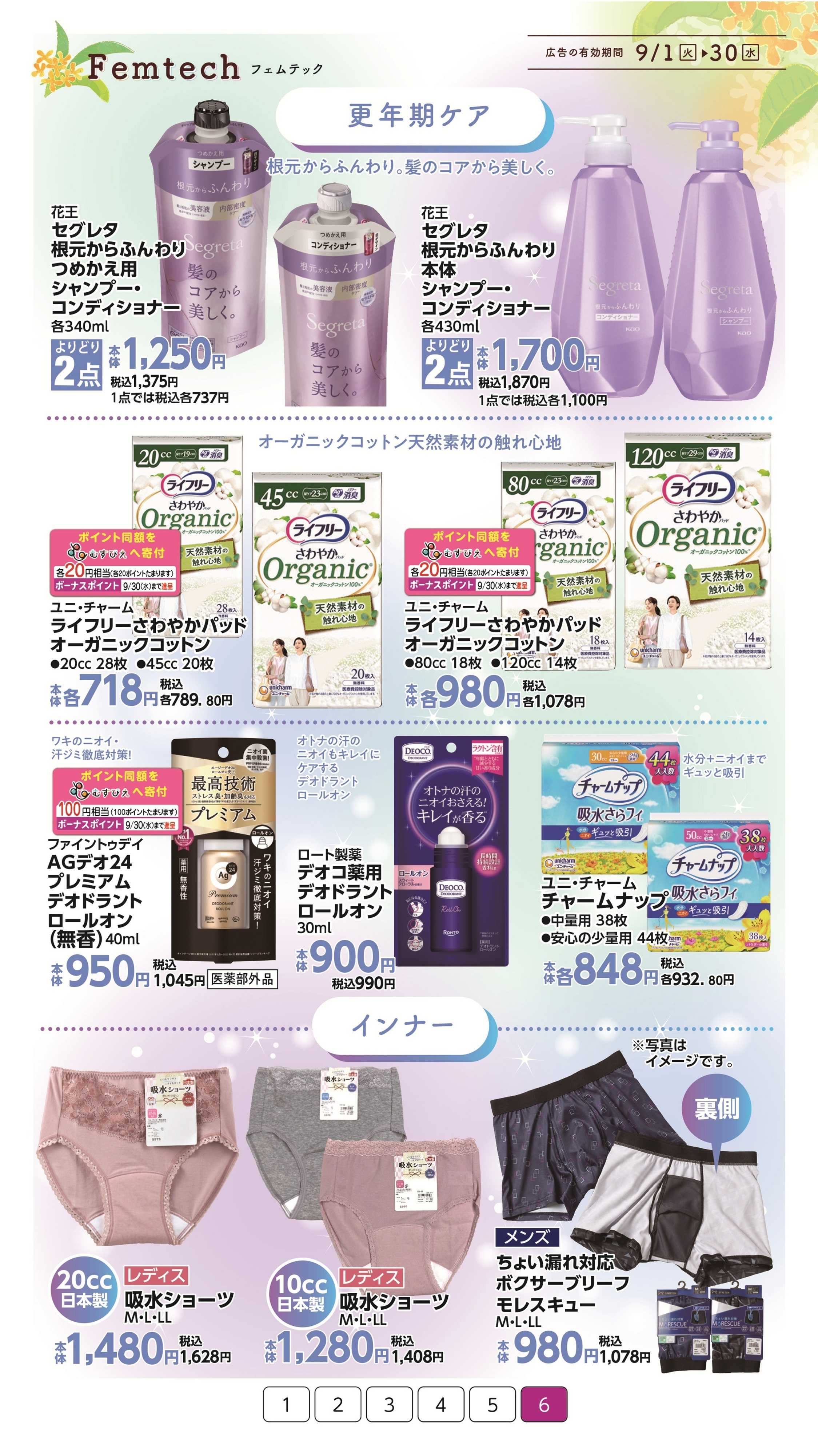 イオン フェムテック