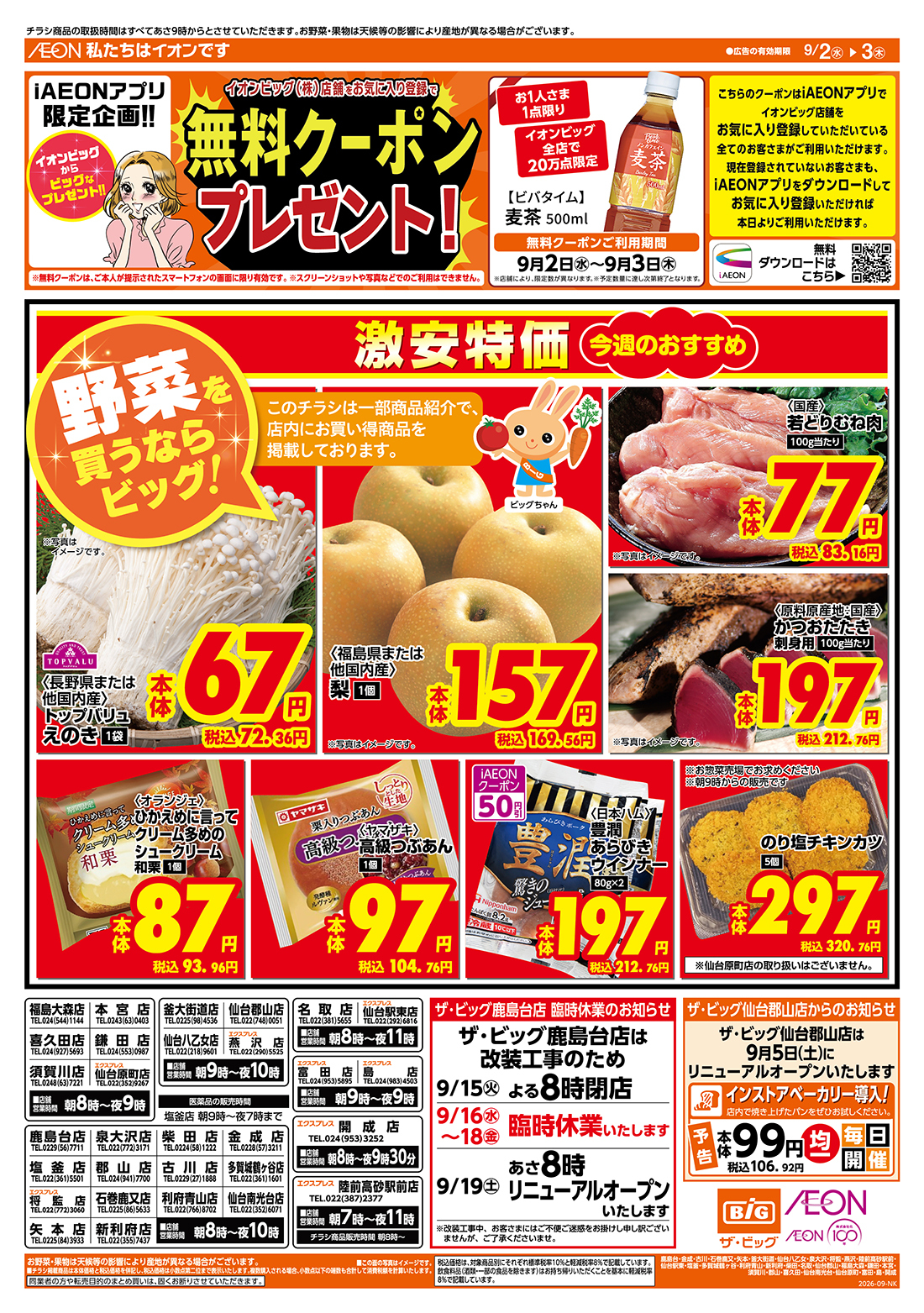 ザ ビッグ チラシ