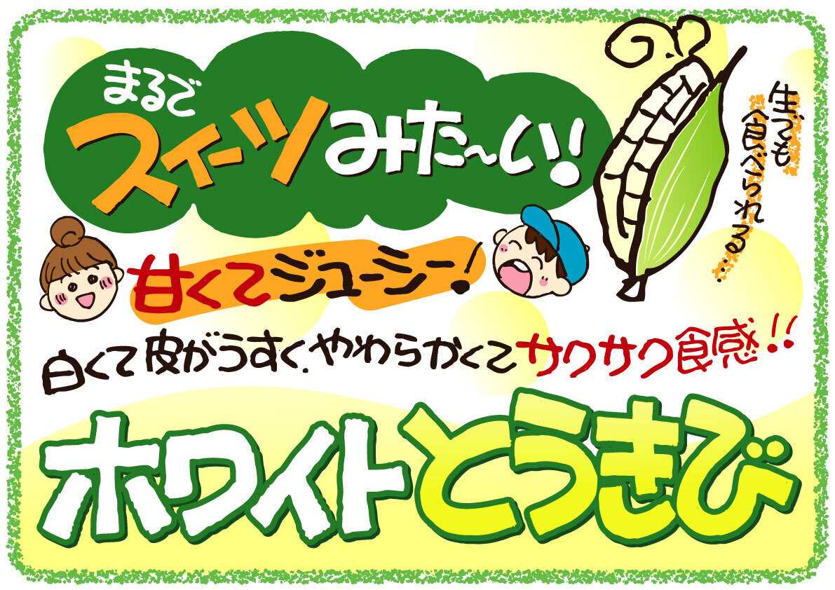北海市場 【9月のこだわり商品】ホワイトとうきび▼▼お知らせをチェック！▼▼