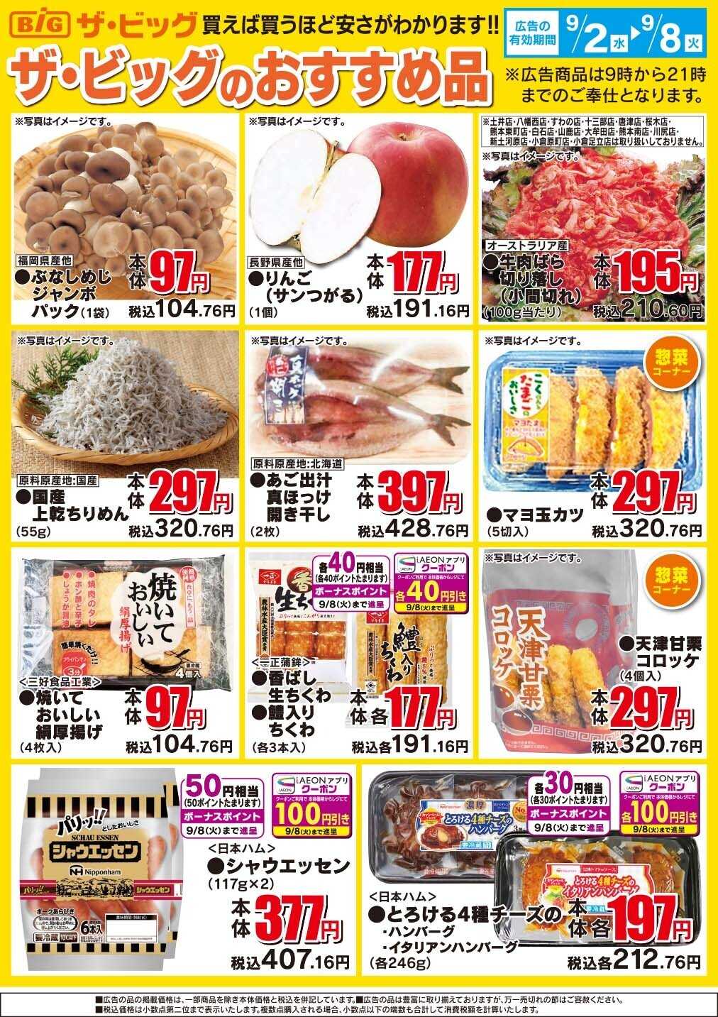 ザ・ビッグ ザ・ビッグのおすすめ品