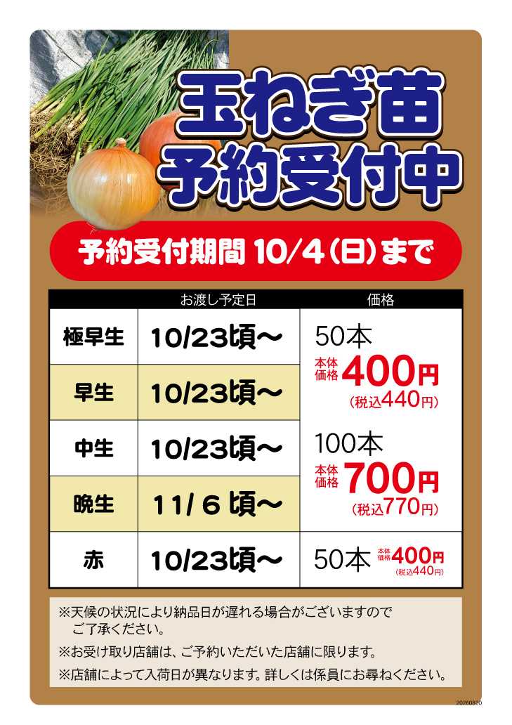 HIヒロセ 【予約受付中】玉ねぎ苗