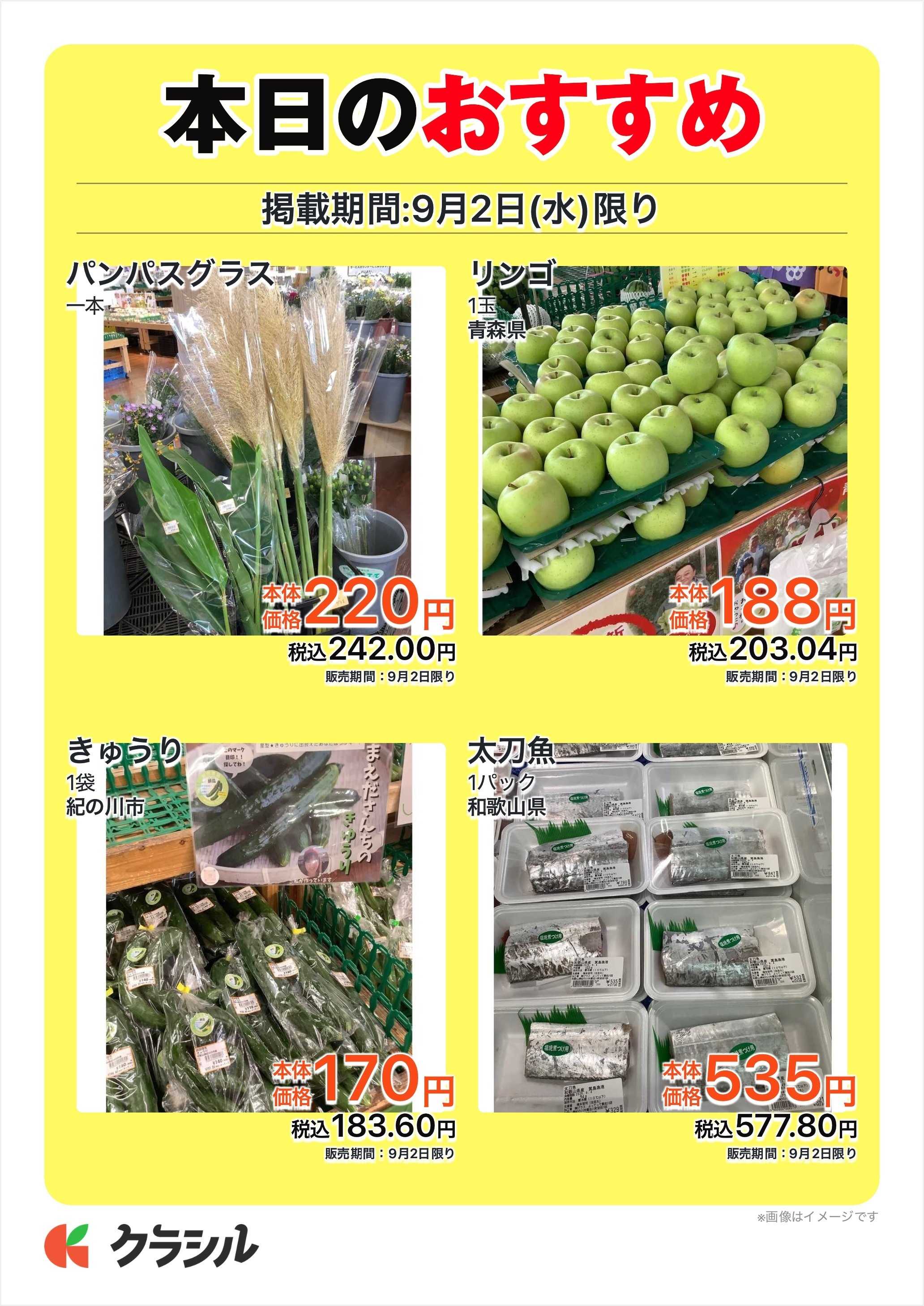 産直市場よってって 本日のおすすめ