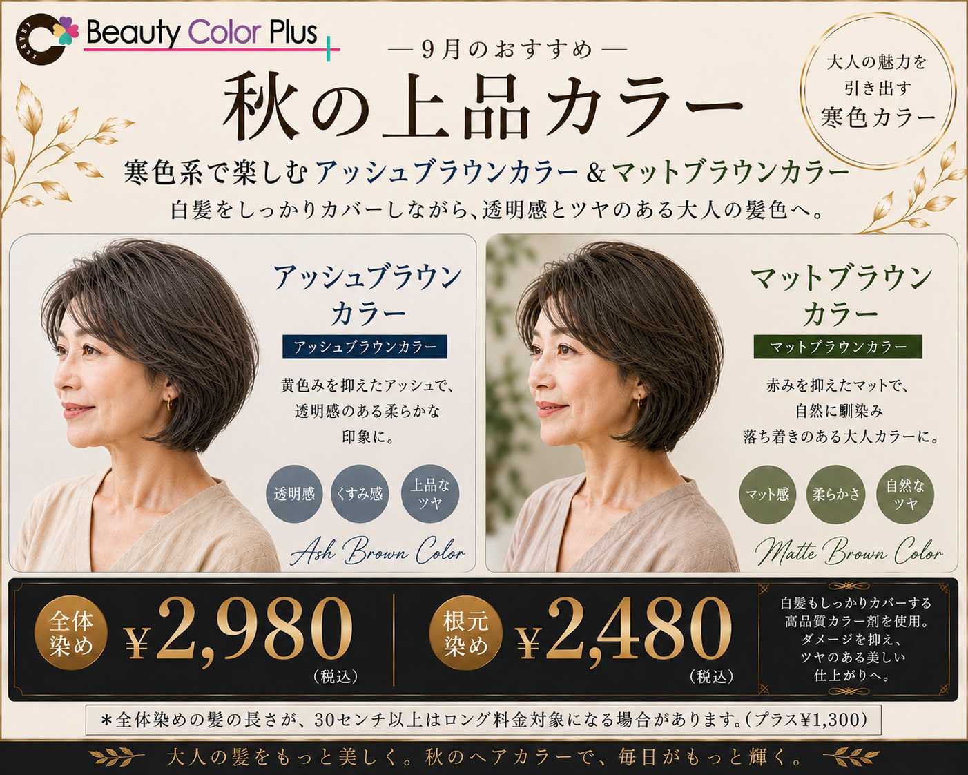 ビューティーカラープラス 