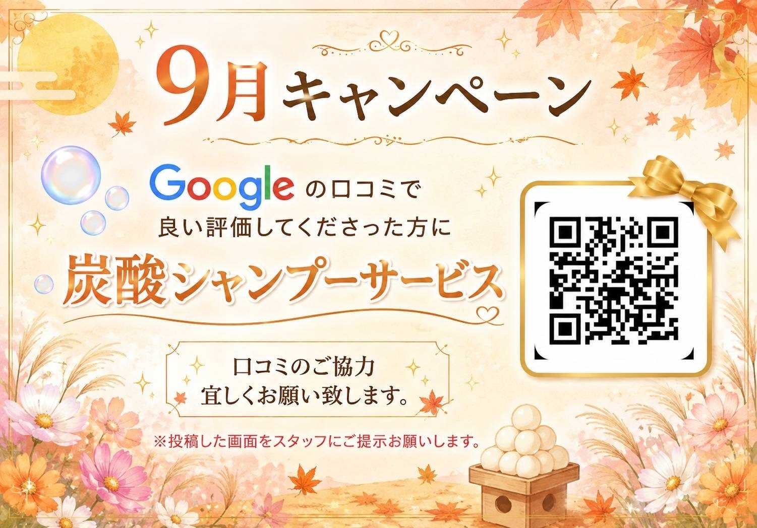 ビューティーカラープラス 