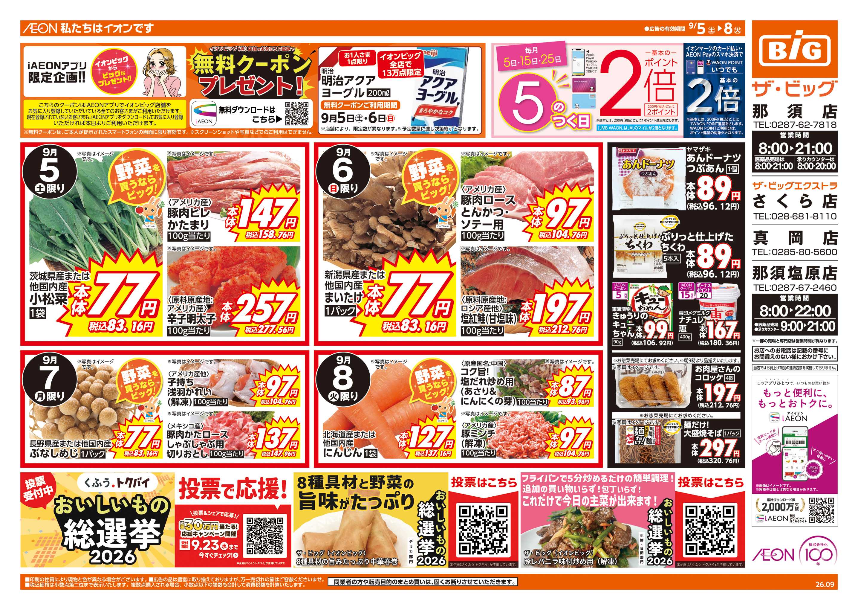 ザ・ビッグ 週末チラシ