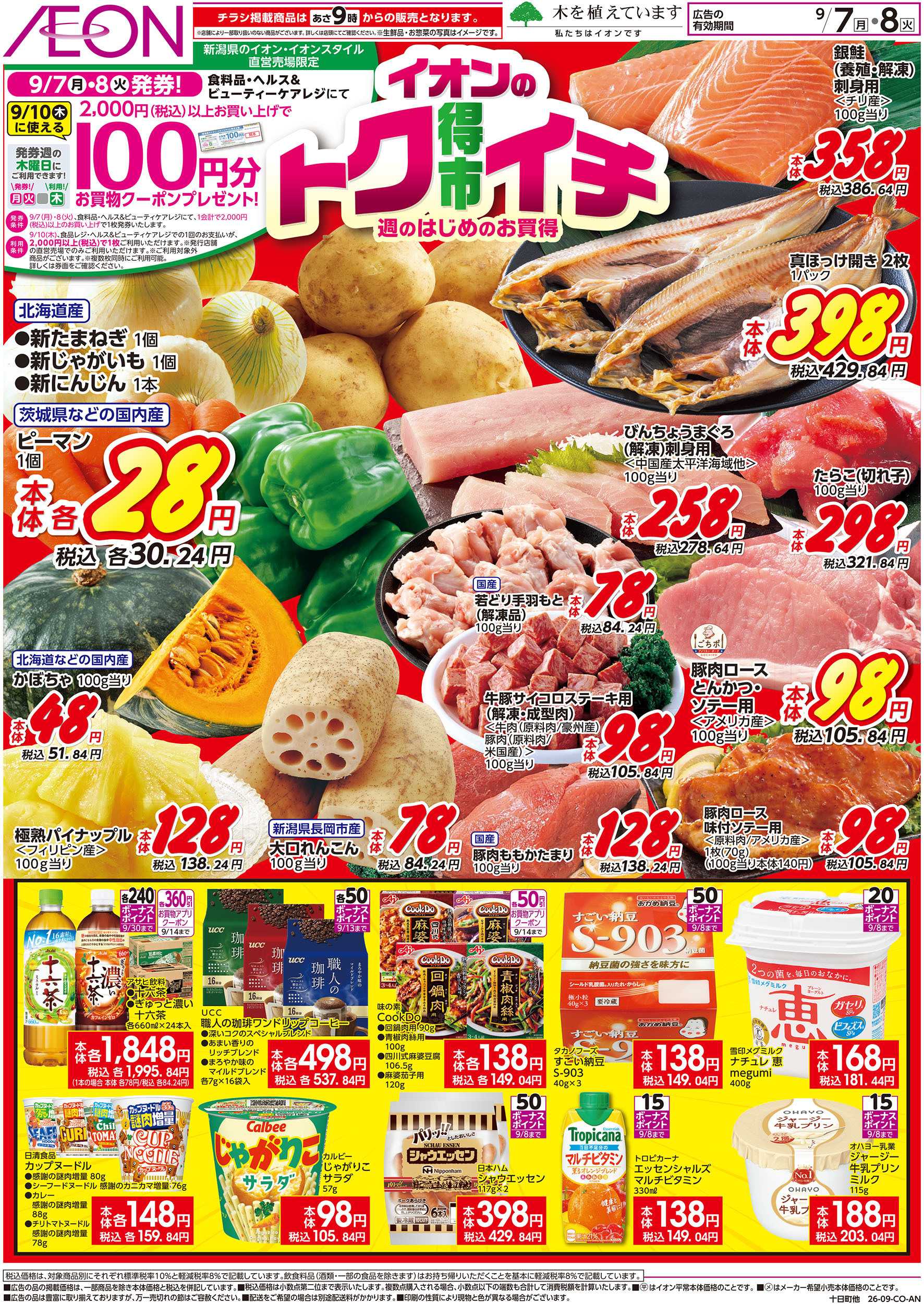 イオン 9/7号　イオンのトクイチ：表面