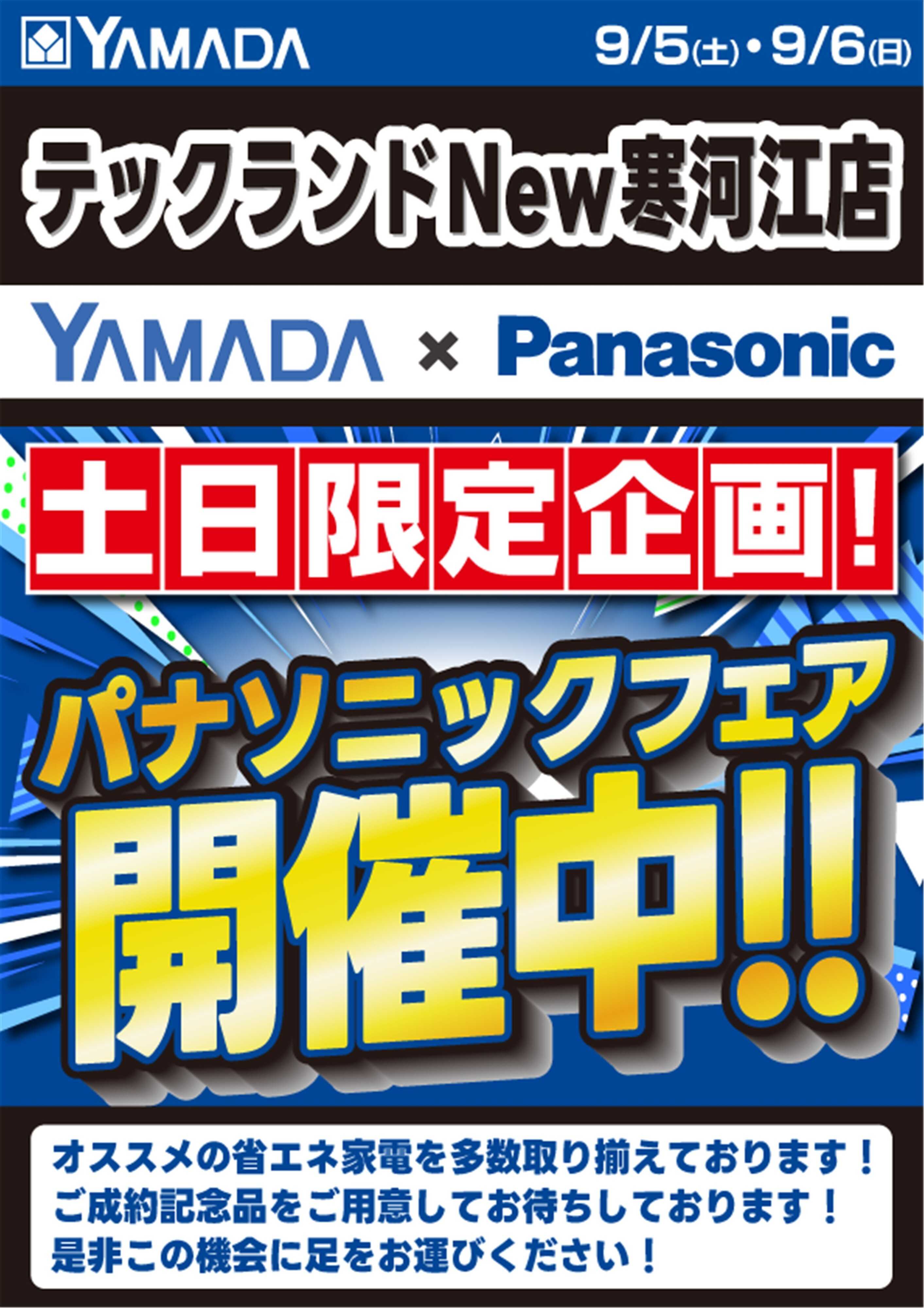 ヤマダデンキ 土日限定企画！