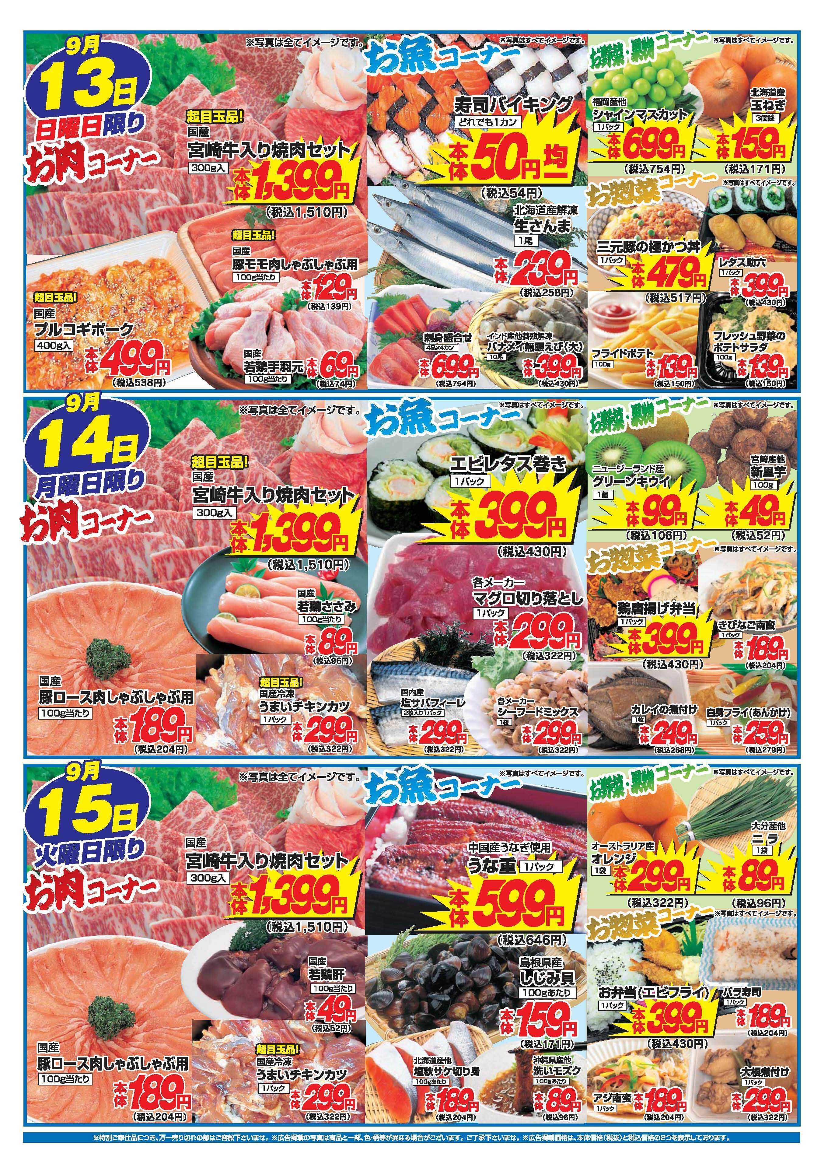 アタックス A_26.0910_15_アタックス生鮮 小林店 B4