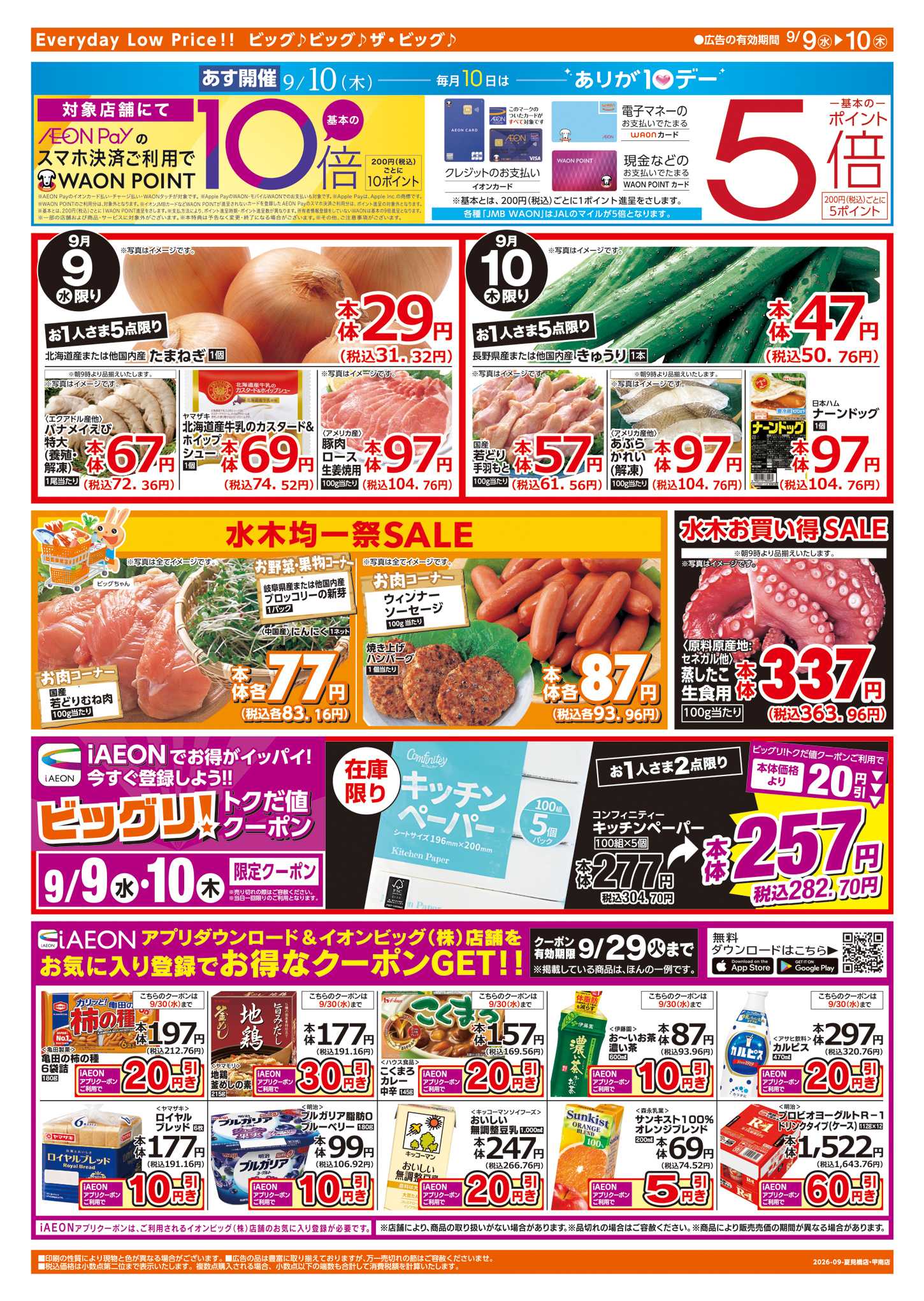 ザ・ビッグ 週中チラシ