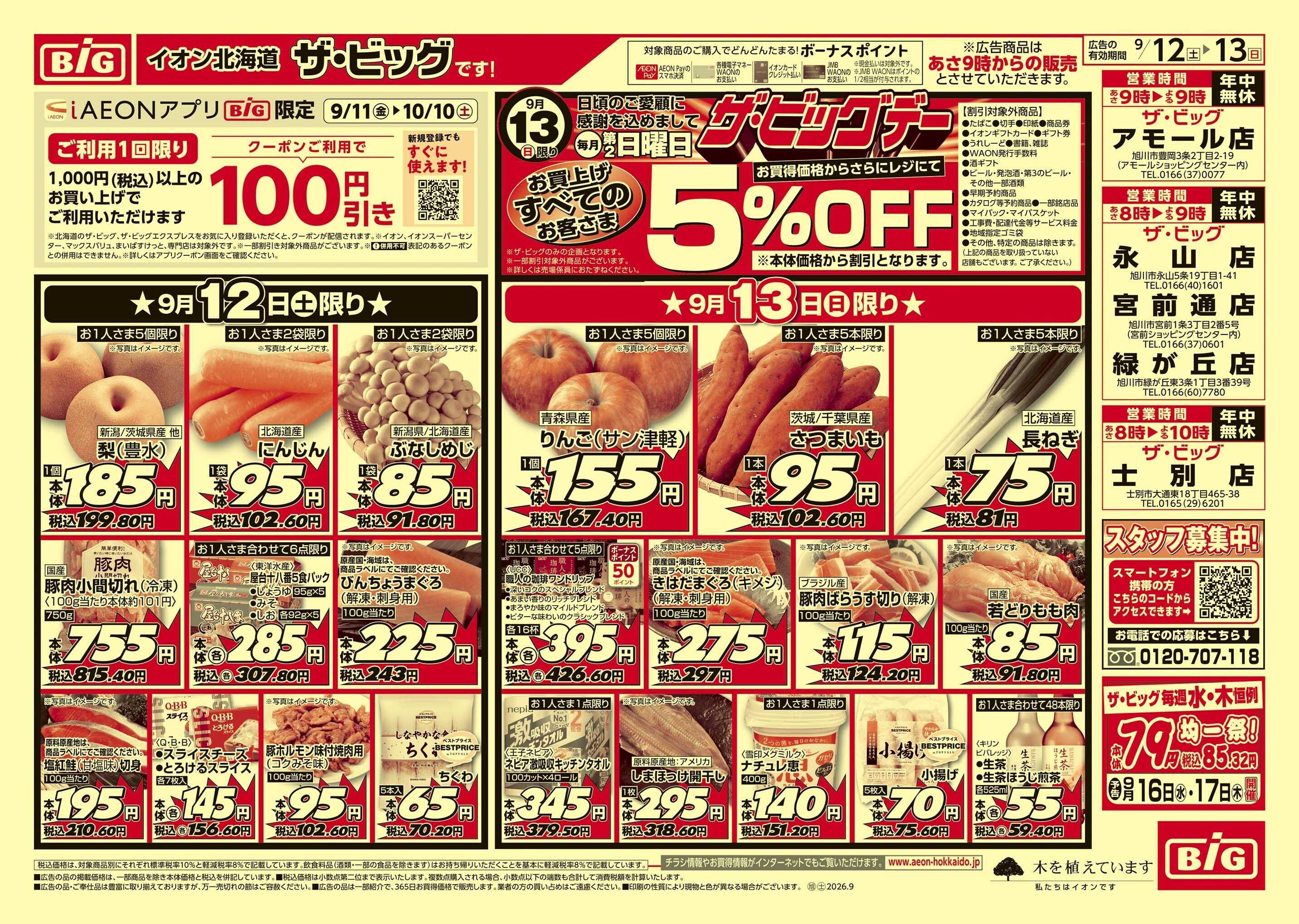 ザ・ビッグ ザ・ビッグデー/買えば買うほど