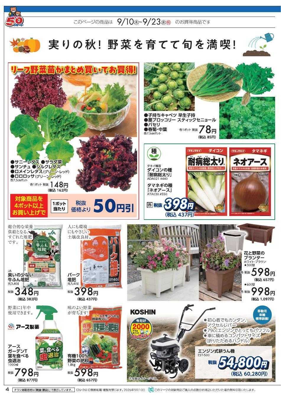 ディオワールド アヤカ会員様特別ご優待会