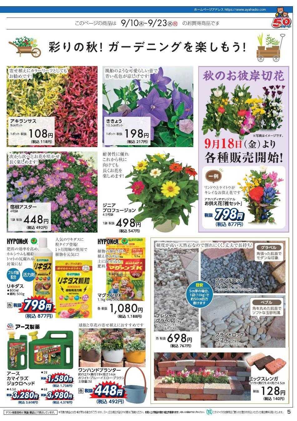 ディオワールド アヤカ会員様特別ご優待会